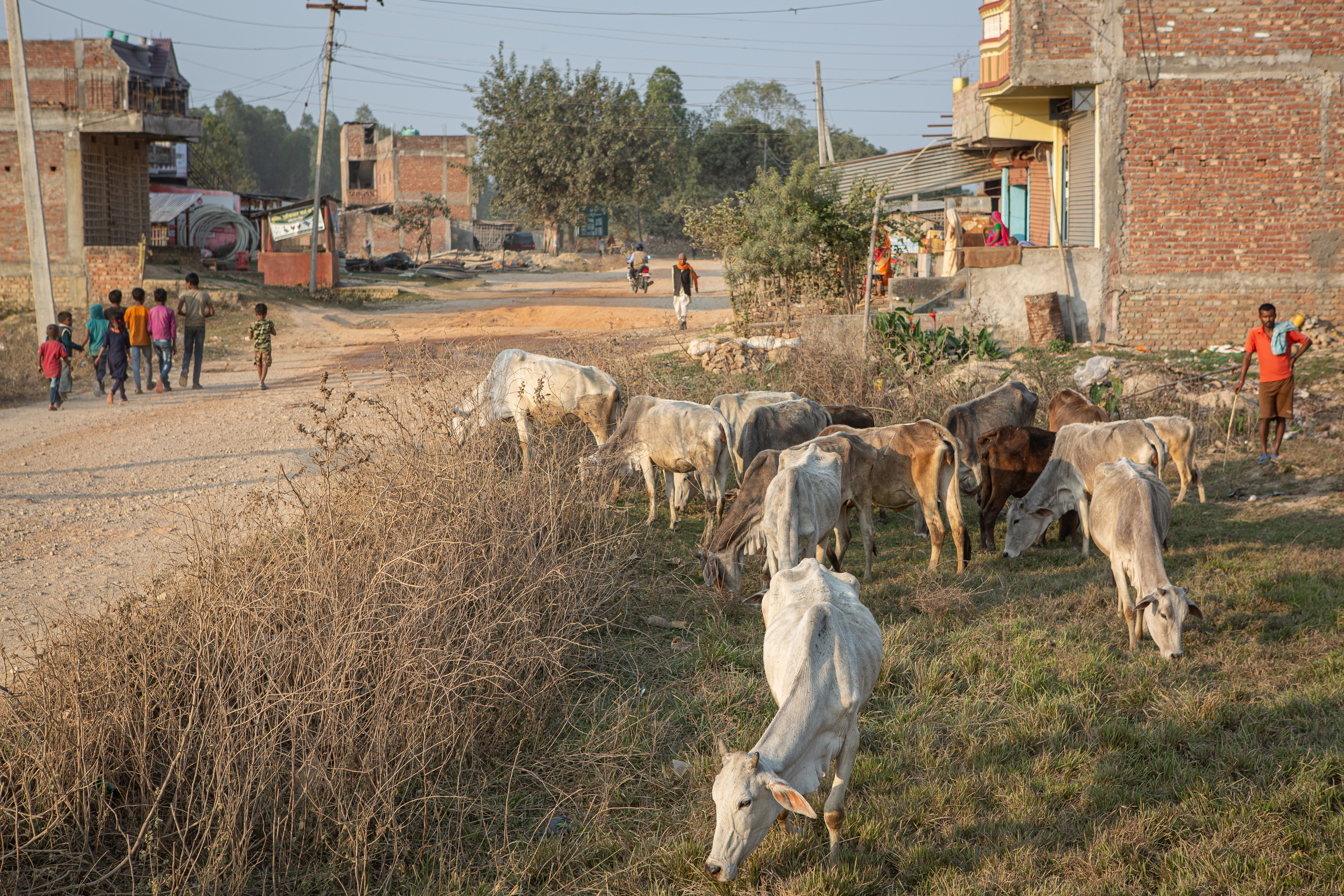 Nepali farmer