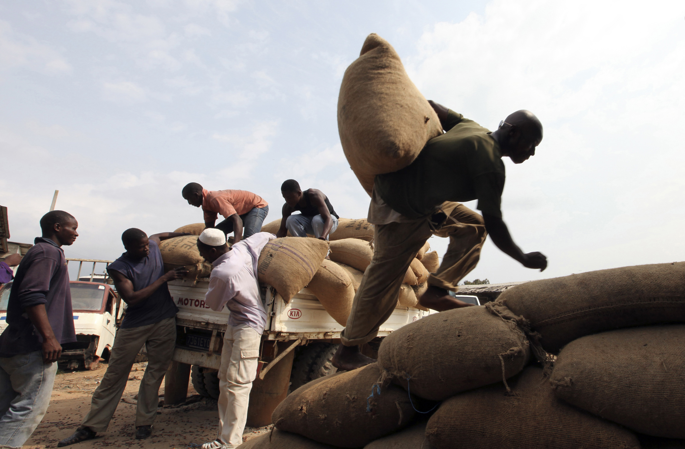 Workers carry bags of cocoa in San Pedro, western Ivory Coast.