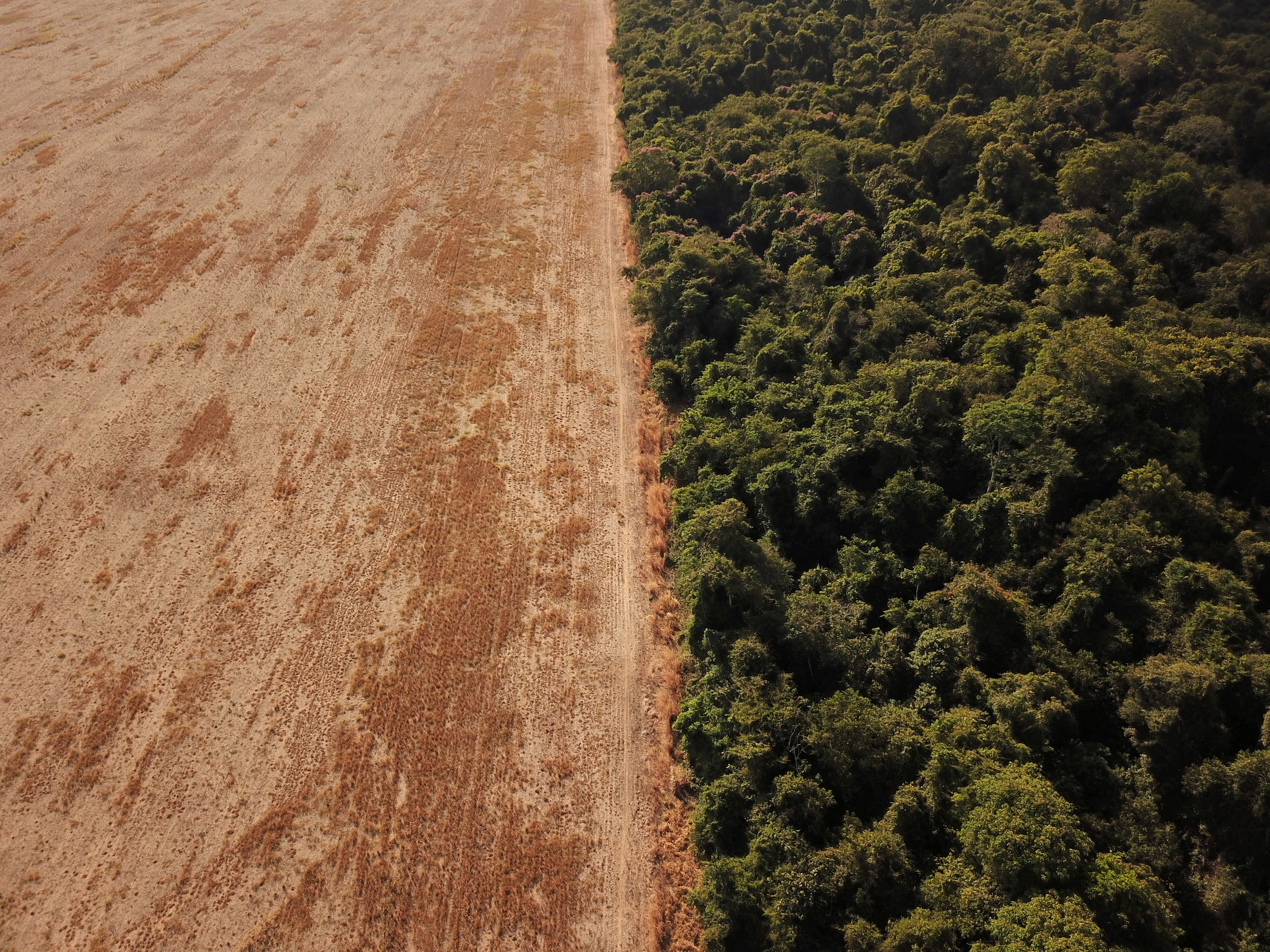 An aerial photo shows deforestation in the Brazilian Amazon.