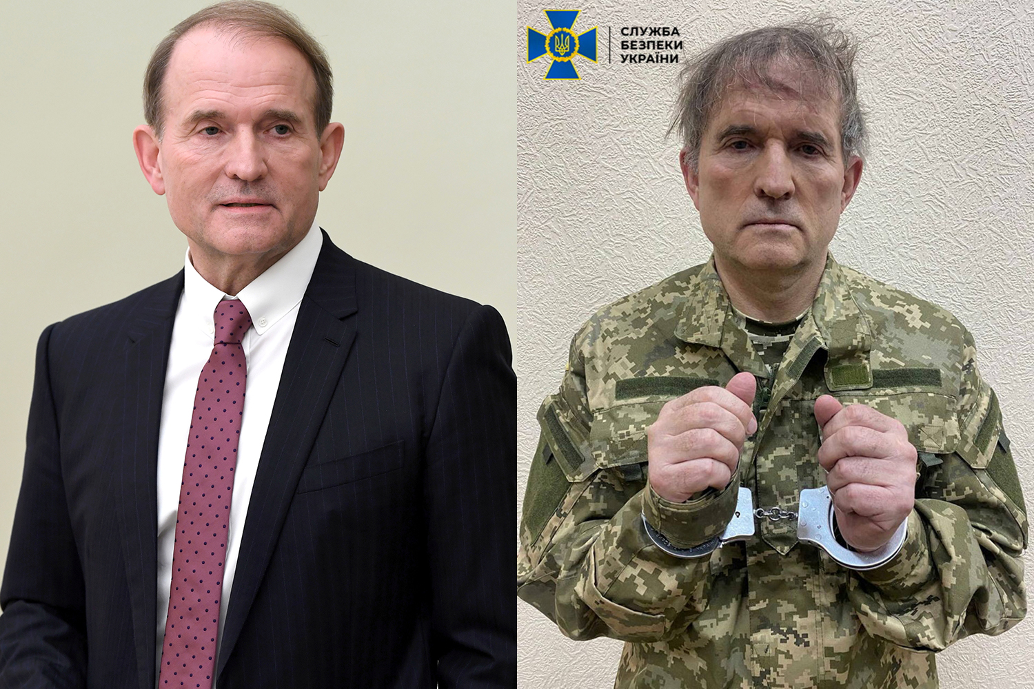 Viktor Medvedchuk