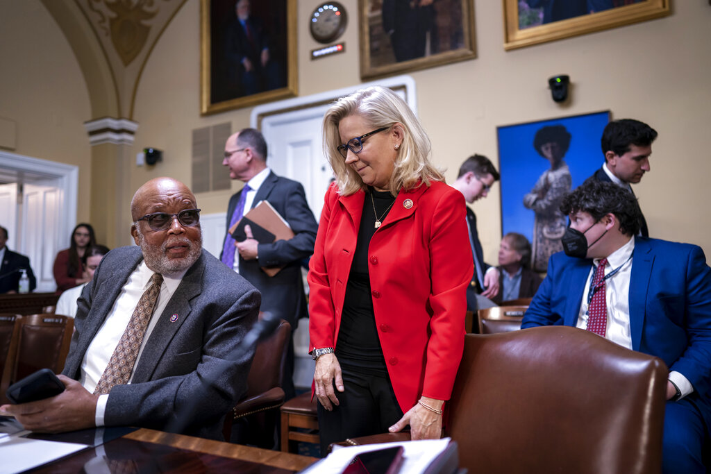 Committee chairman Bennie Thompson and Vice Chair Liz Cheney of the House Select Committee investigating the January 6 US Capitol insurrection.