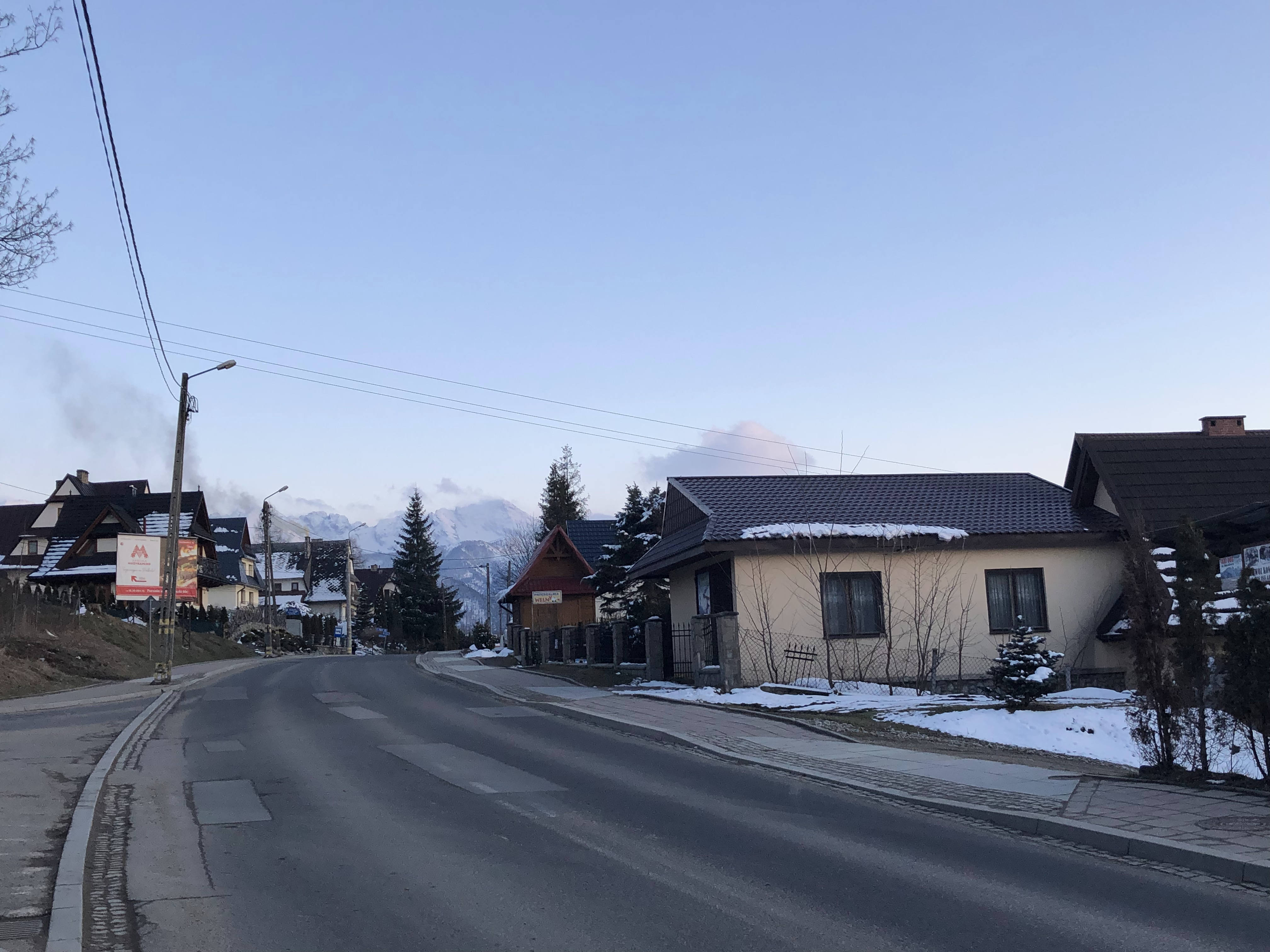 A photo of a street with houses and telephone poles.