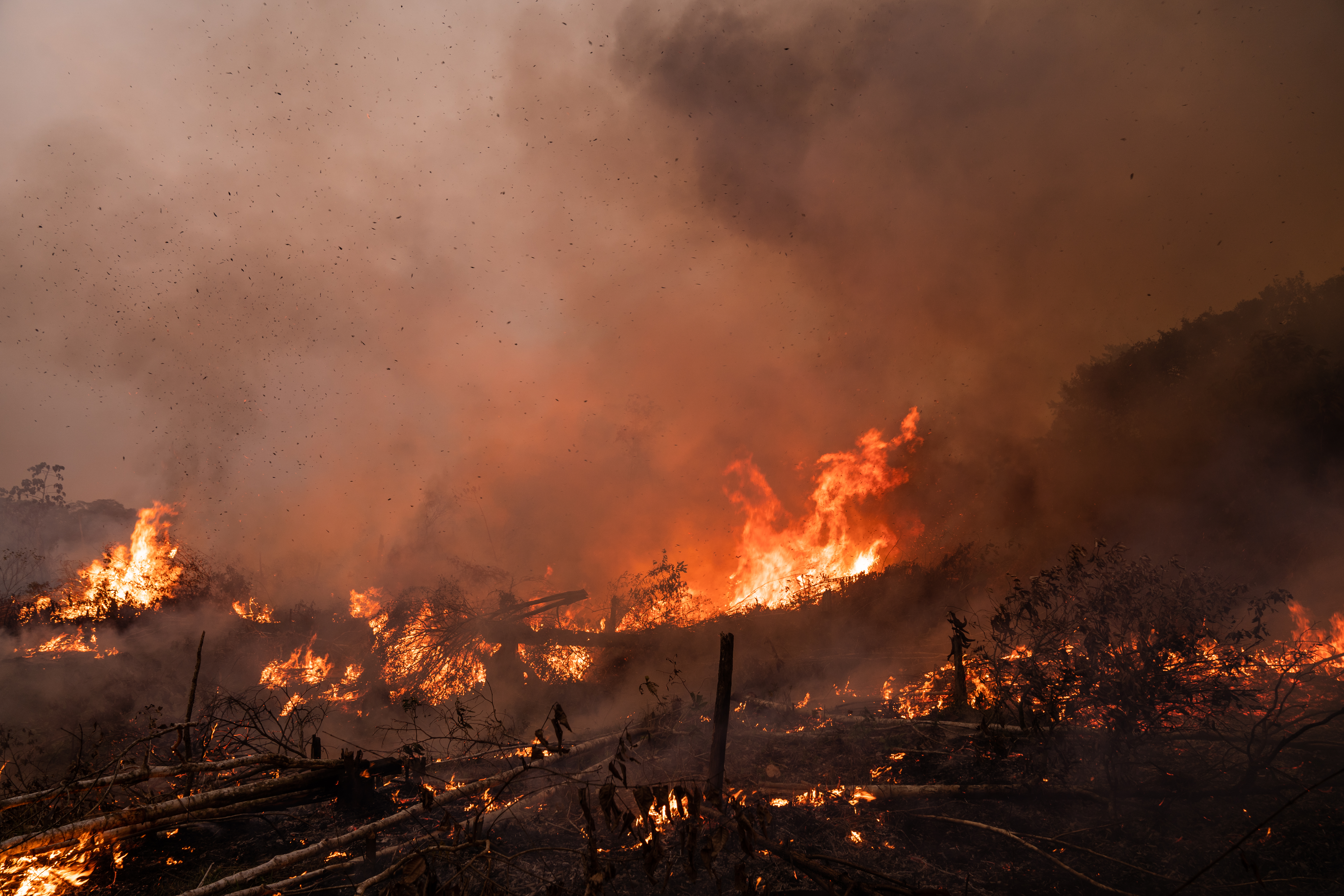 Forest fire in Colombia