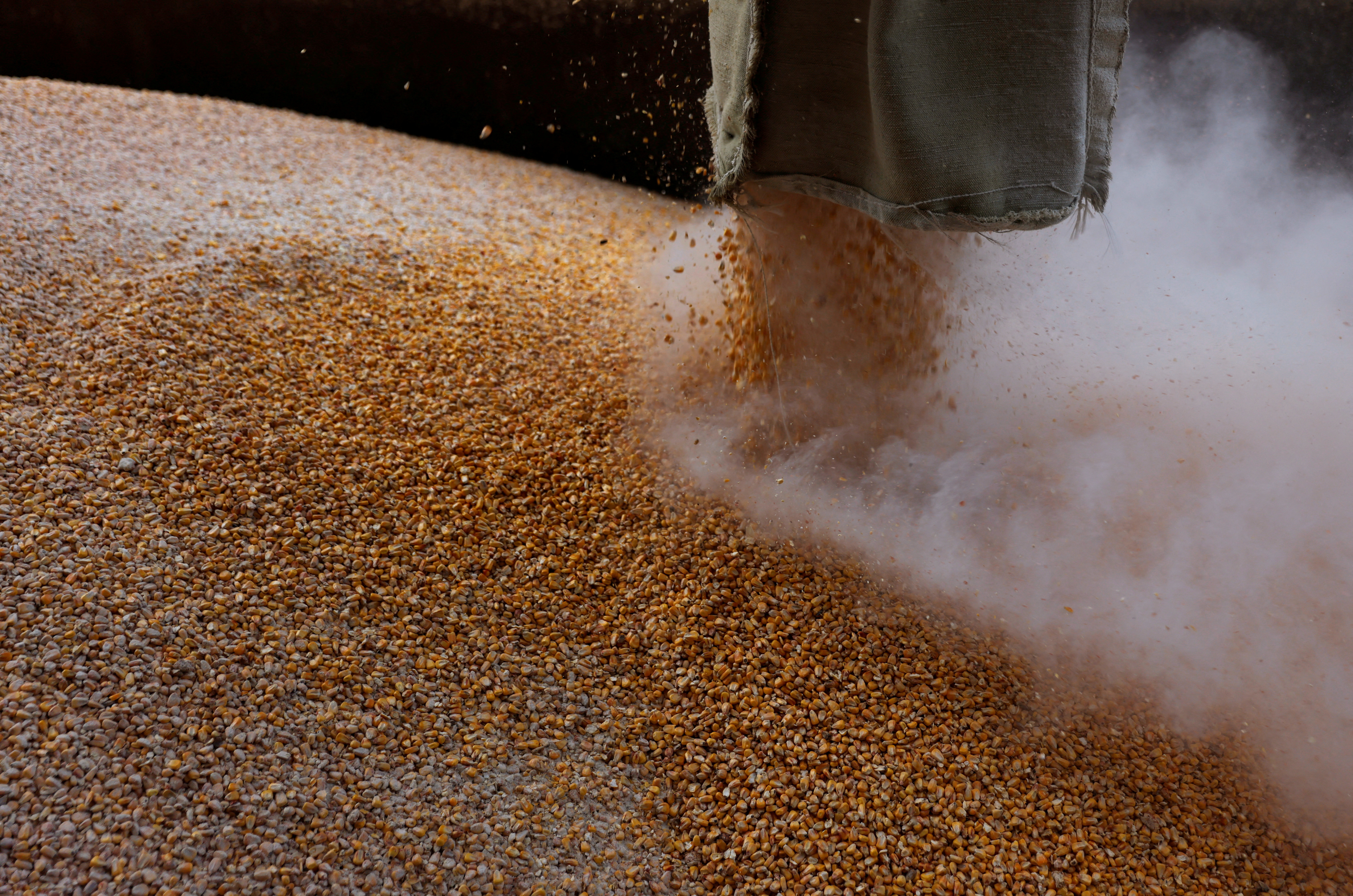 Grain is loaded on a truck at the Mlybor flour mill facility in Chernihiv region, Ukraine.