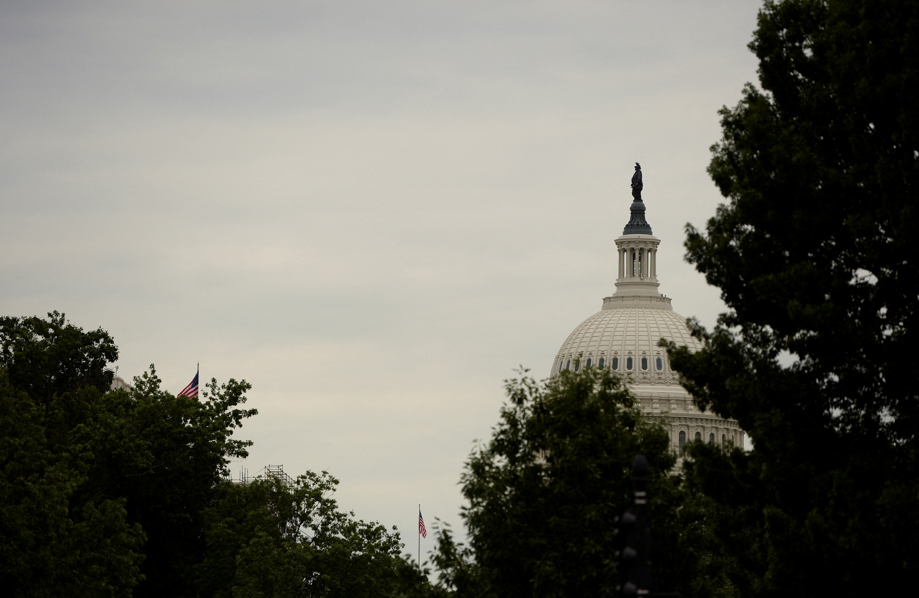 US Capitol dome seen through trees.