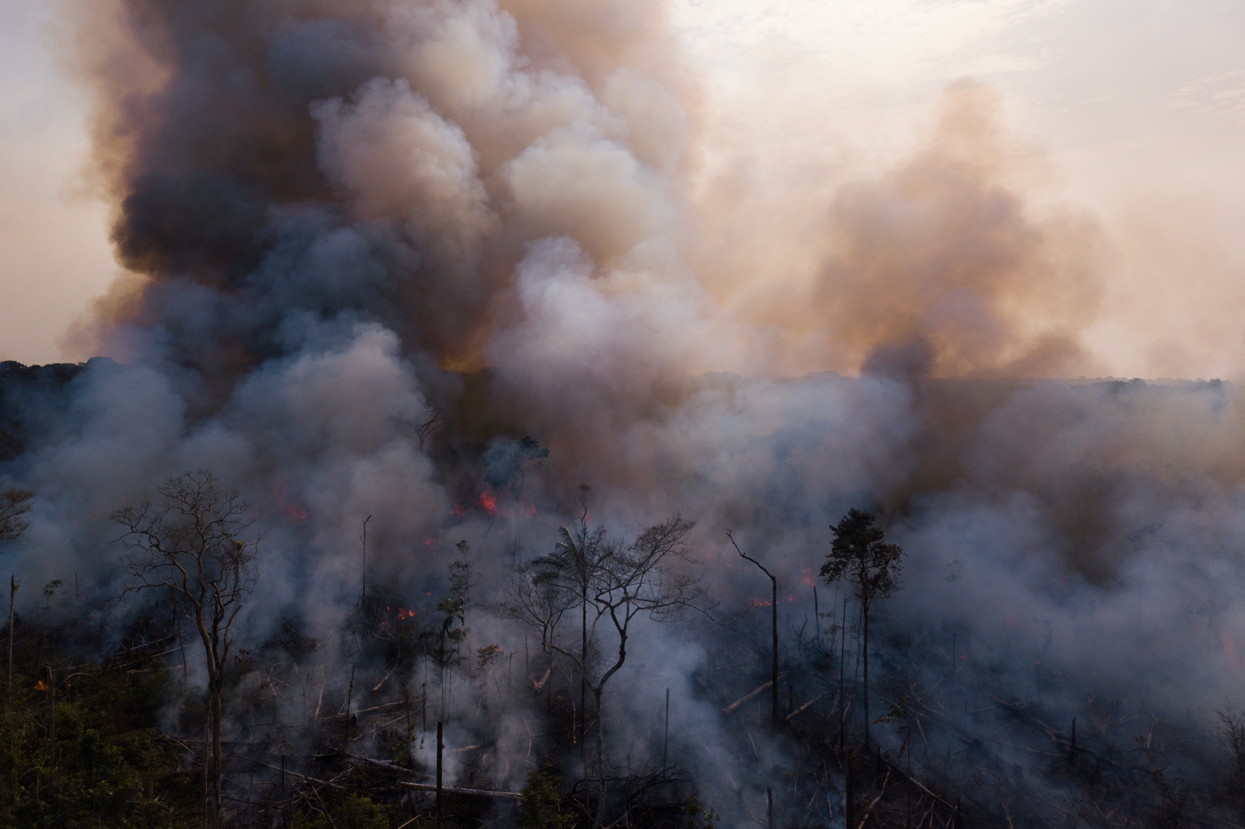 Smoke billows over the Amazon