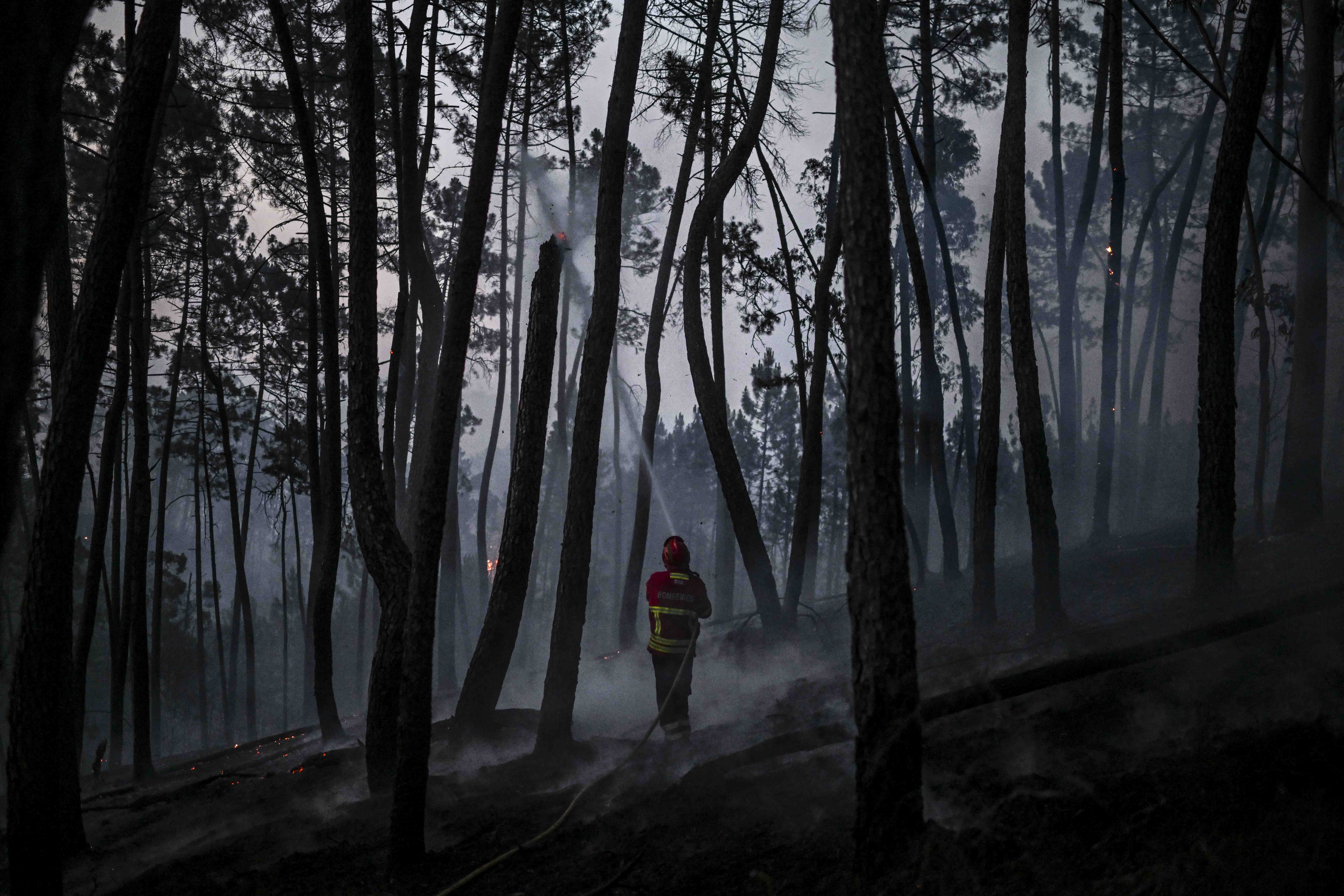 A firefighter works to extinguish a wildfire at Casais do Vento in Alvaiazere on July 10, 2022. - Around 1.500 firefighters were mobilized to put out three wildfires raging for more than 48 hours in central and northern Portugal