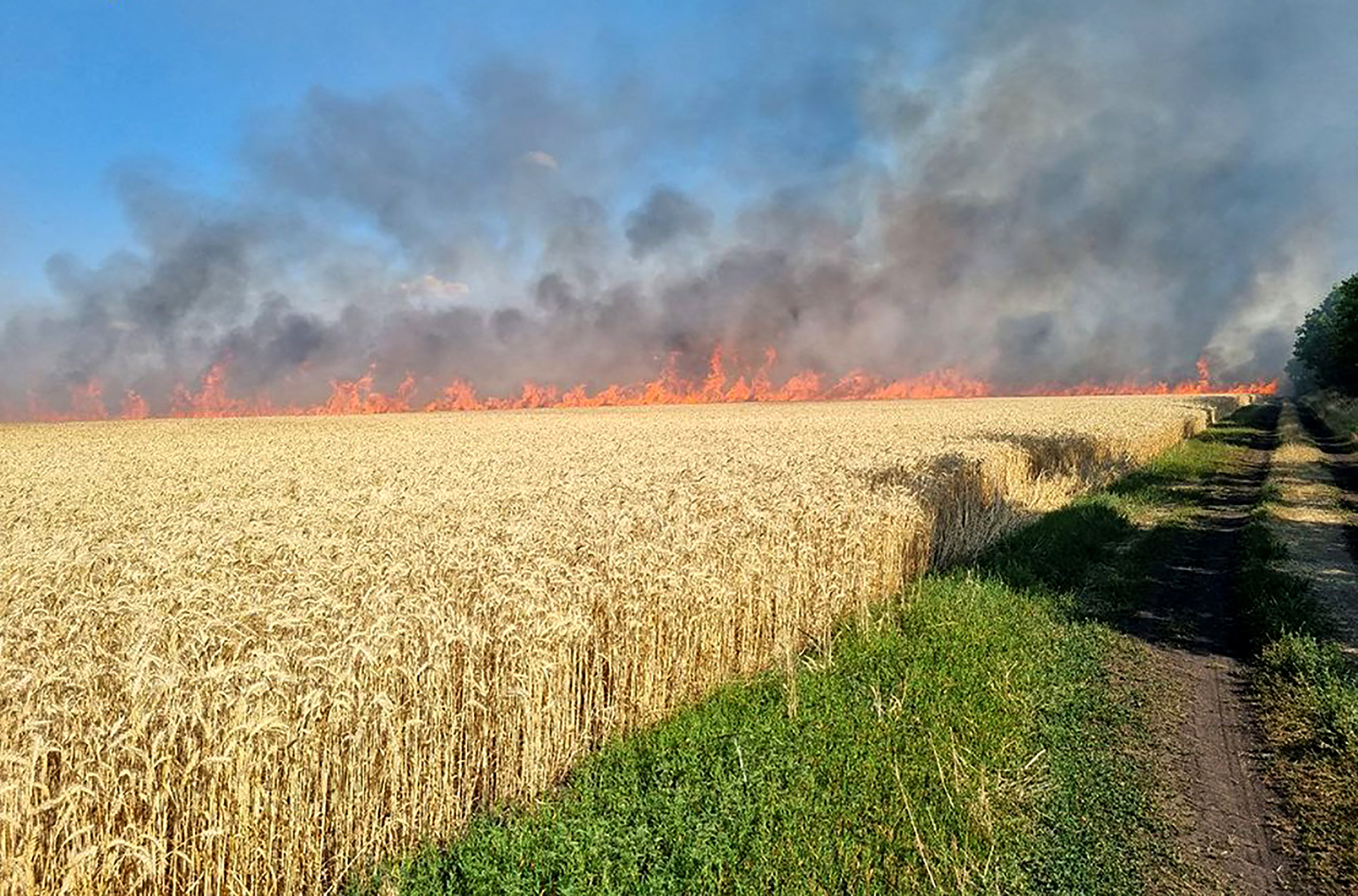 This handout picture released by Ukraine Emergency Service on July 17, 2022 shows firefighters puting out a fire on a wheat field burned as a result of shelling in Mykolaiv region, amid Russian military invasion of Ukraine