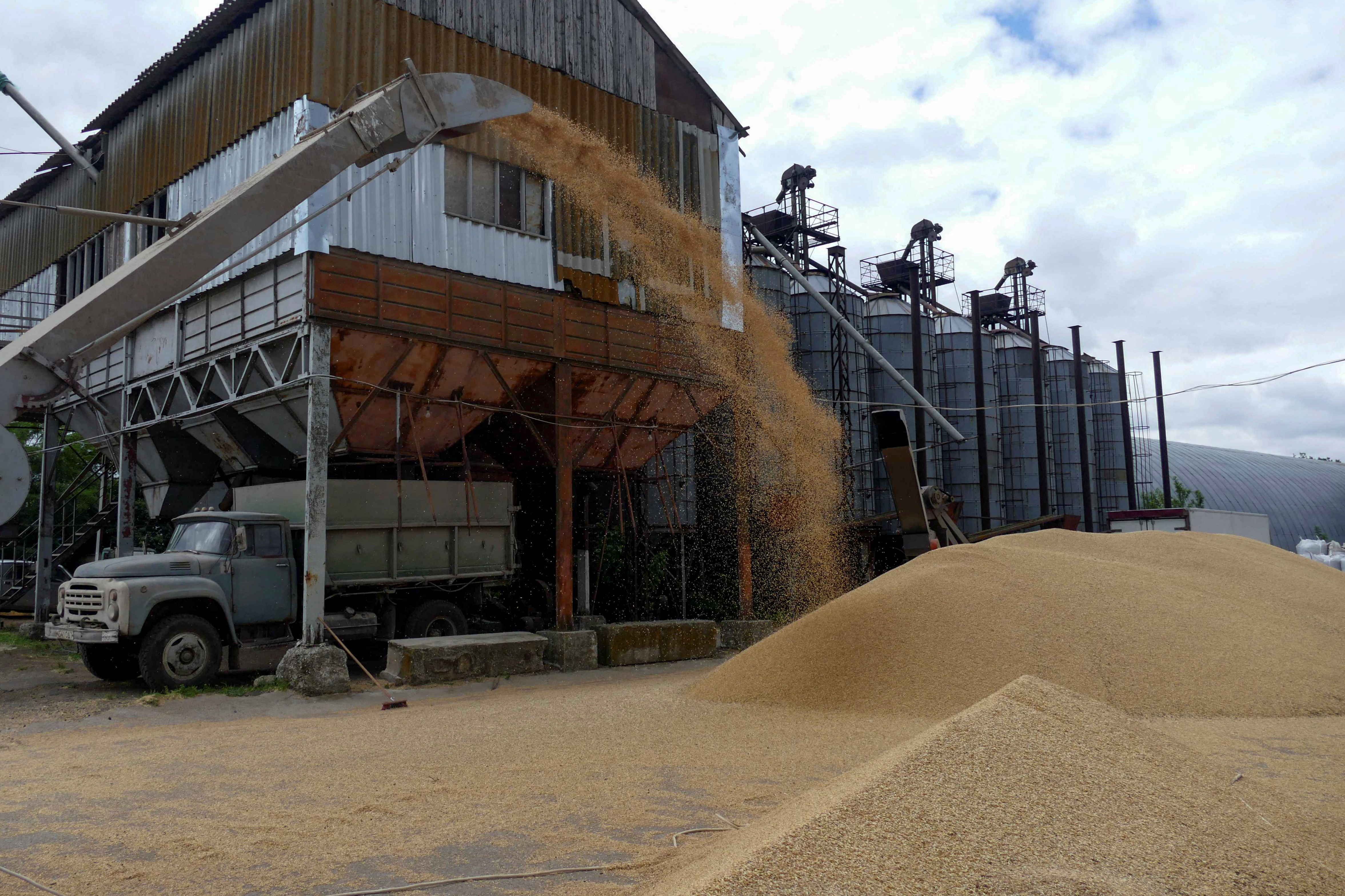 A truck is seen at a grain terminal during barley harvesting in Odesa region.