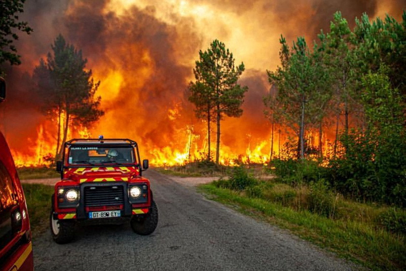 A view of trees burning amid a wildfire near Landiras, France.