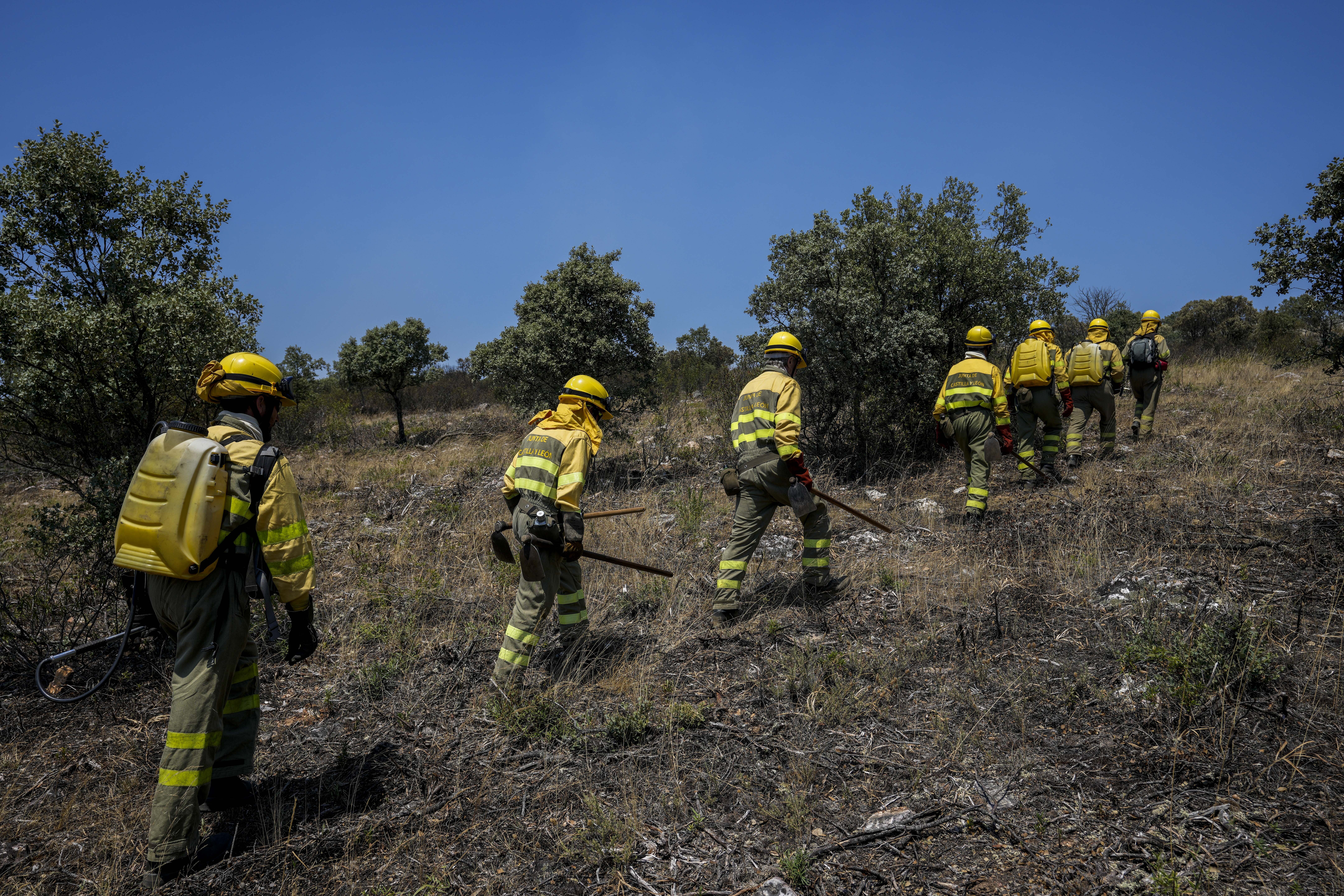 Firefighters work at the scene of a wildfire