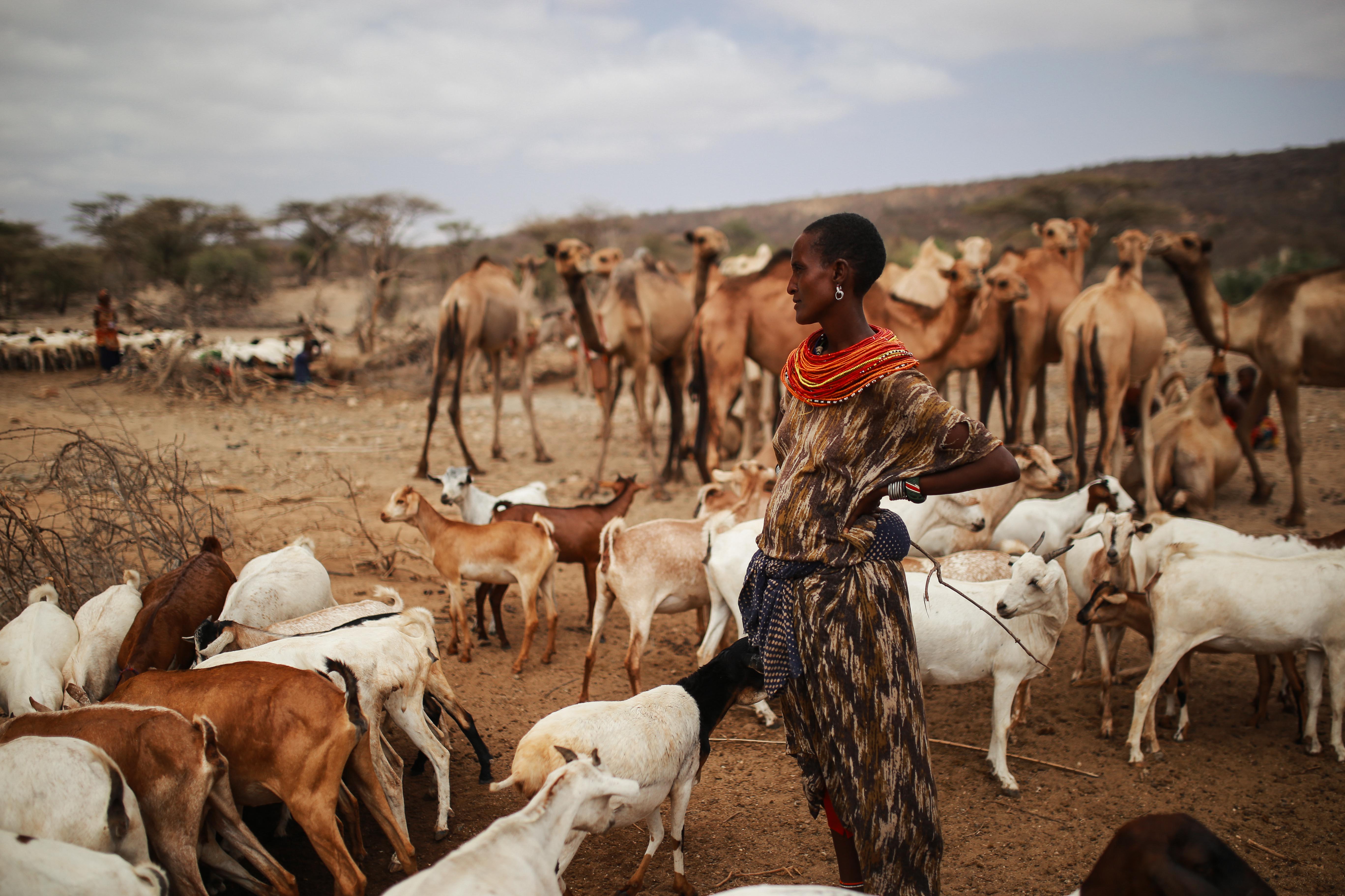 Herders gather with their animals at the watering hole