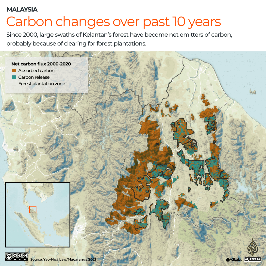 INTERACTIVE_MALAYSIA_TREE_PLANTATION_JULY18_2022_2