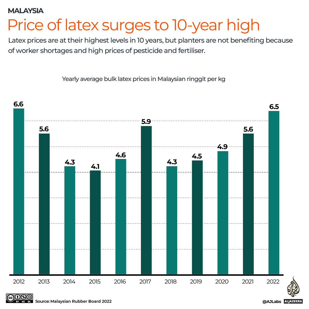 INTERACTIVE_MALAYSIA_TREE_PLANTATION_JULY18_2022_4