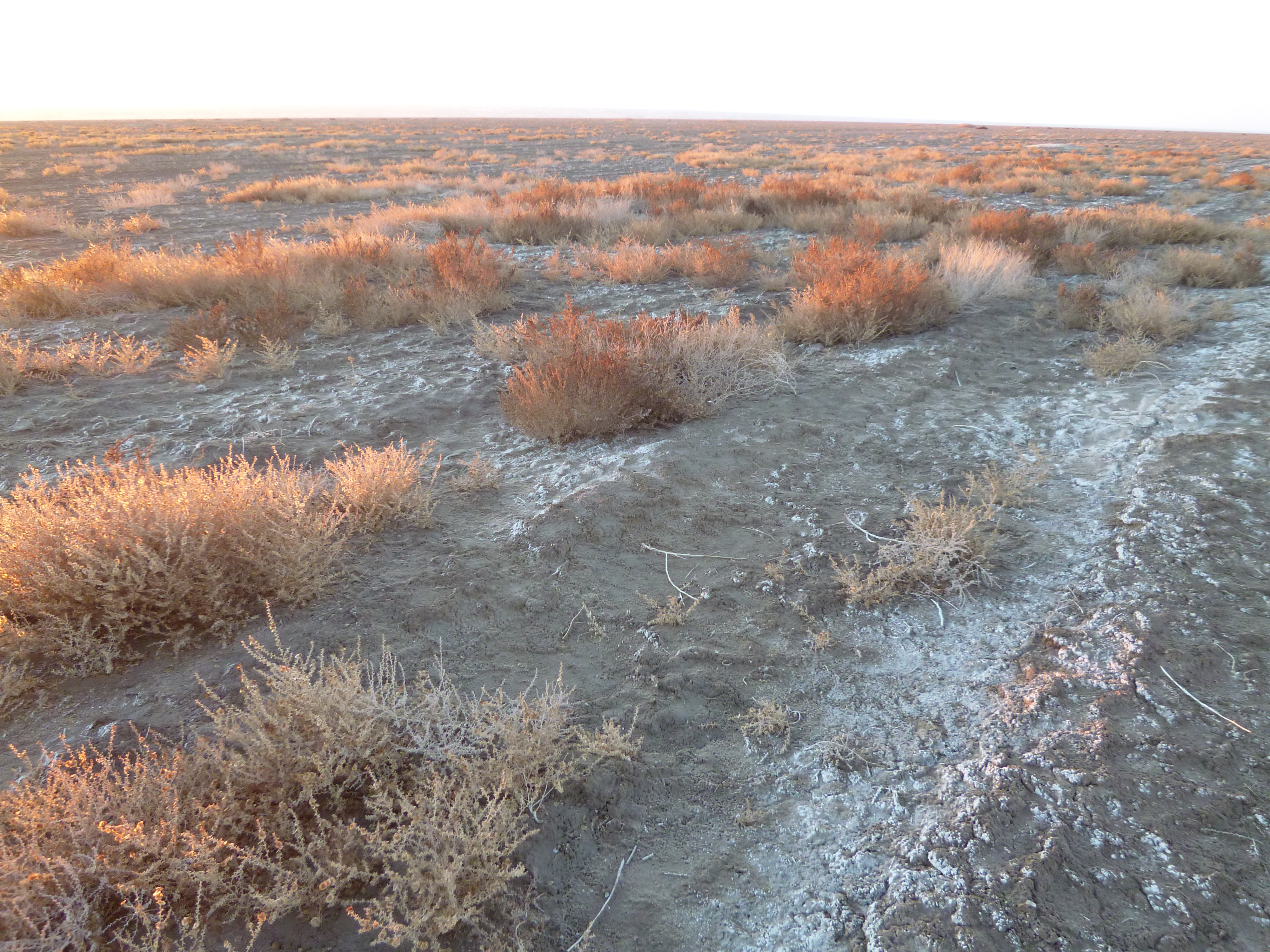 Toxic salt-dust is almost everywhere in Karakalpakstan