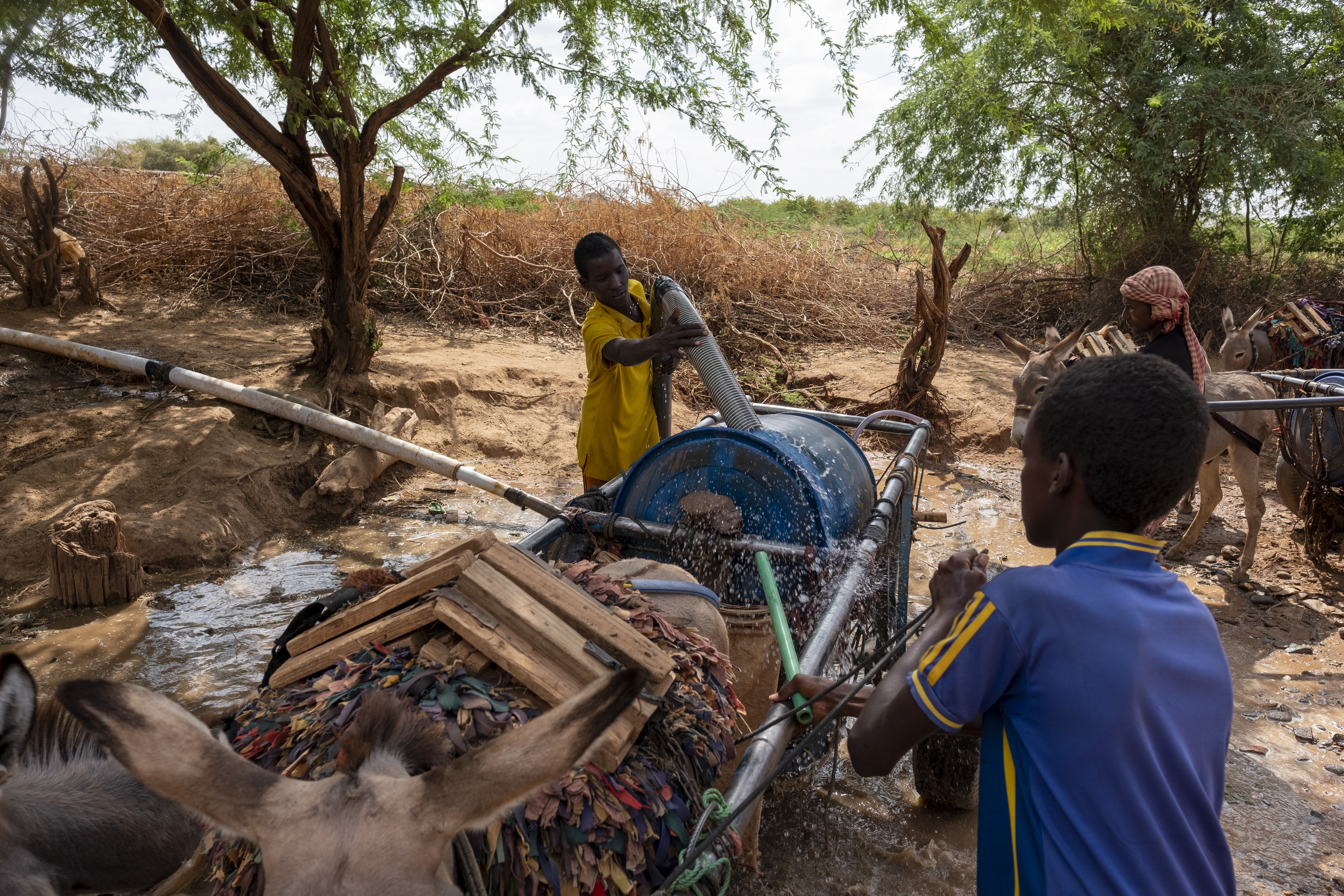 Children pump what little water they can find in the catastrophic drought that is consuming Dollow Somalia..