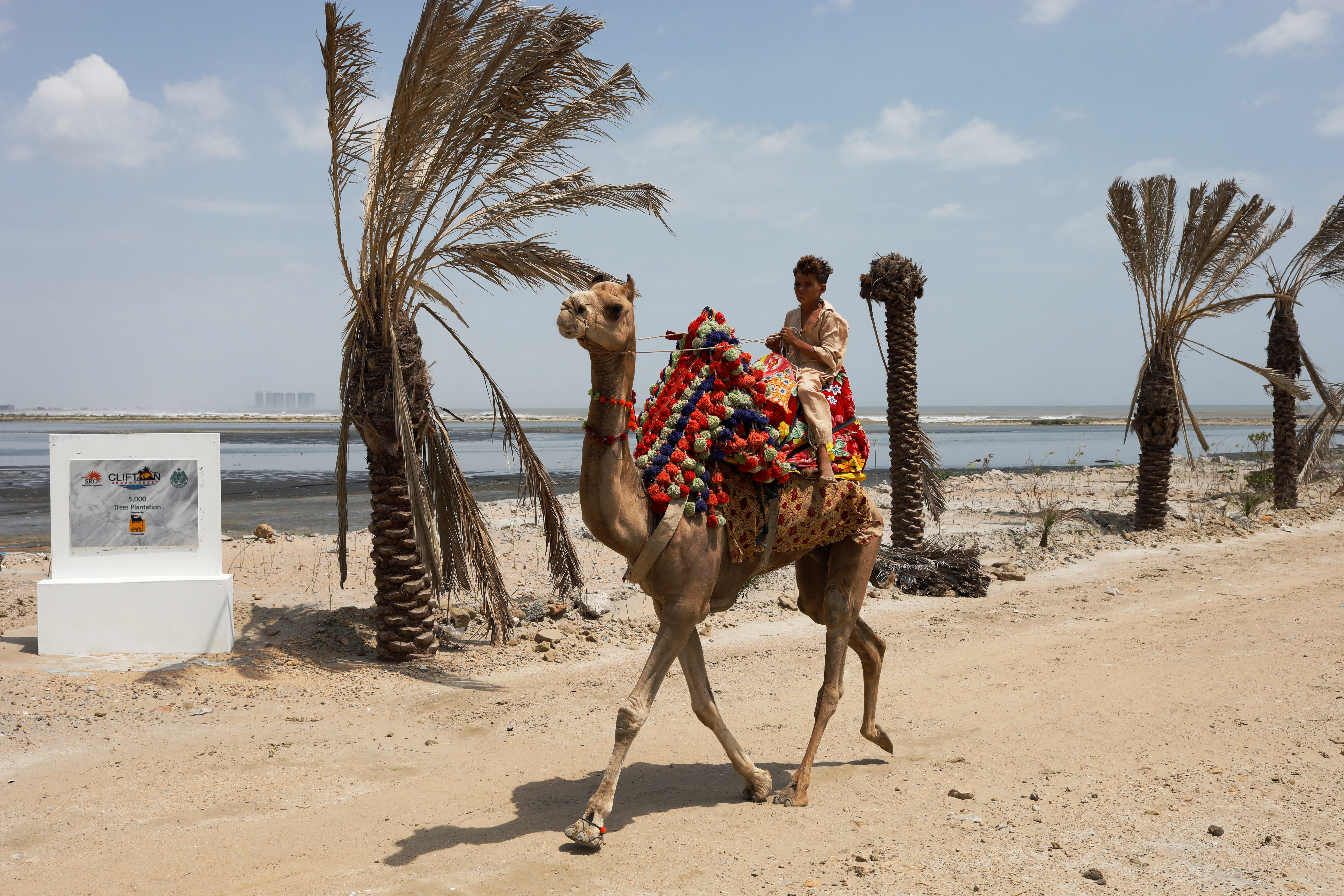 A person rides on a camel