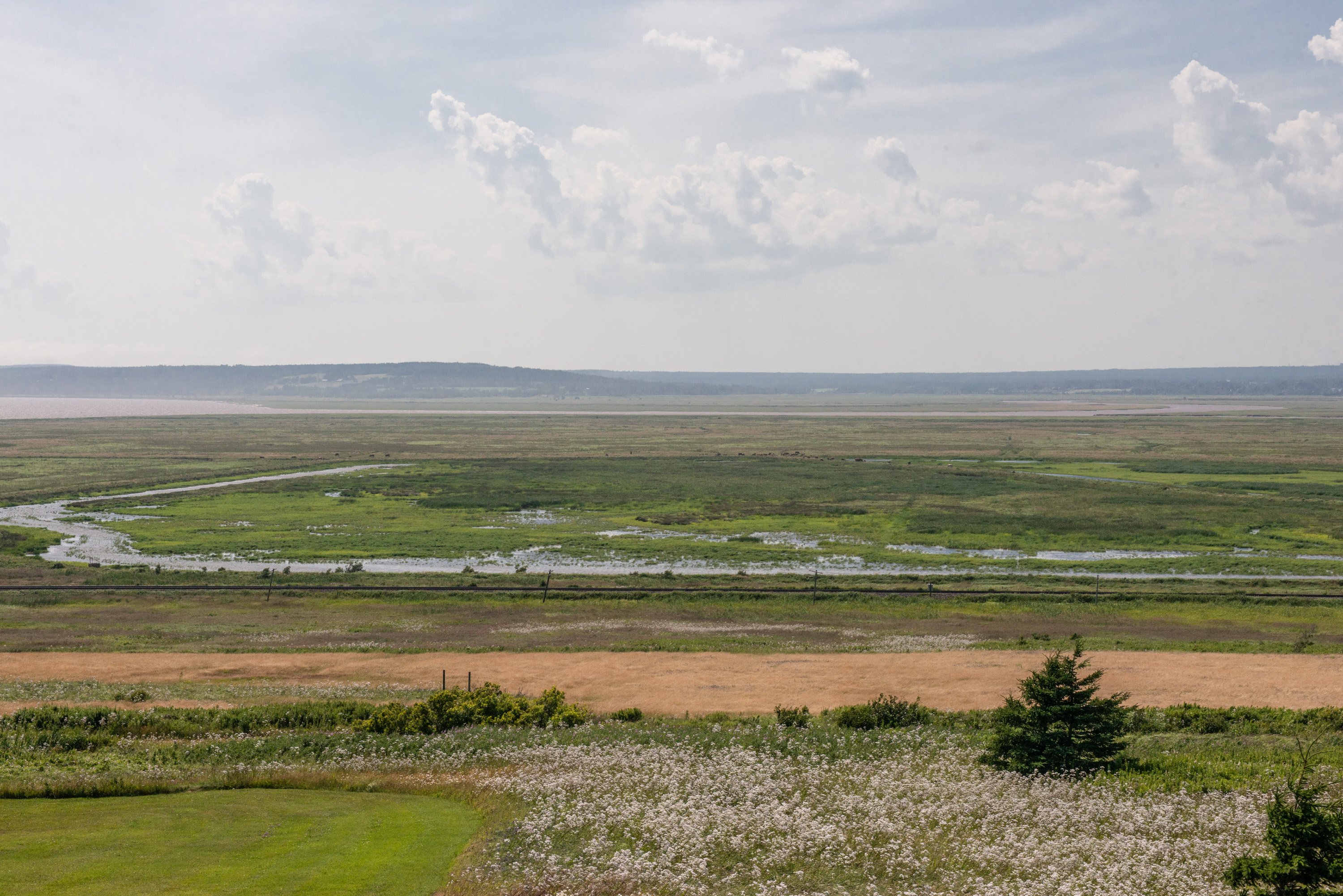 Skyline view of the Chignecto Isthmus in Nova Scotia, Canada.