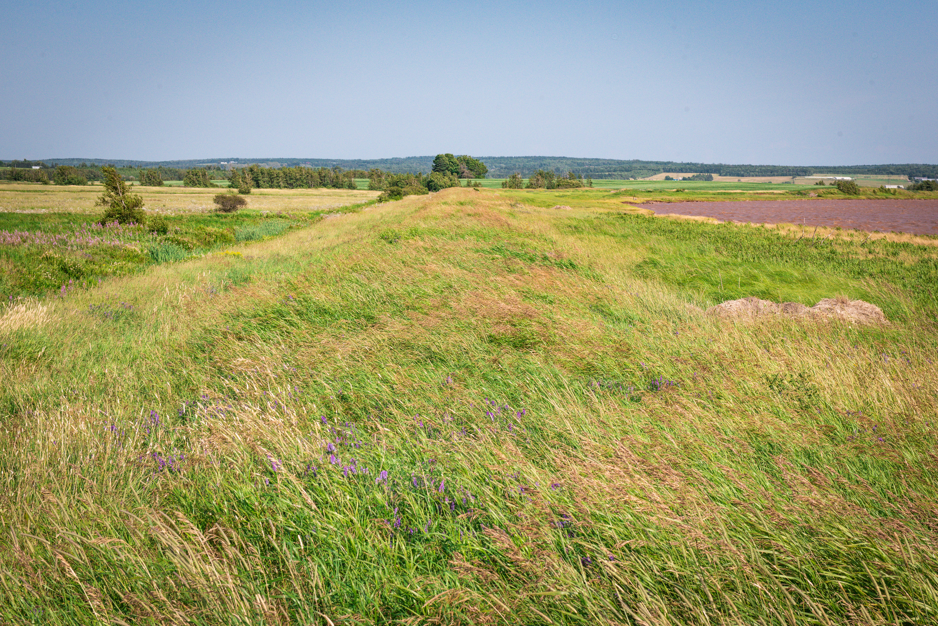 The provincial and federal governments have been looking at ways to protect the vulnerable Chignecto Isthmus