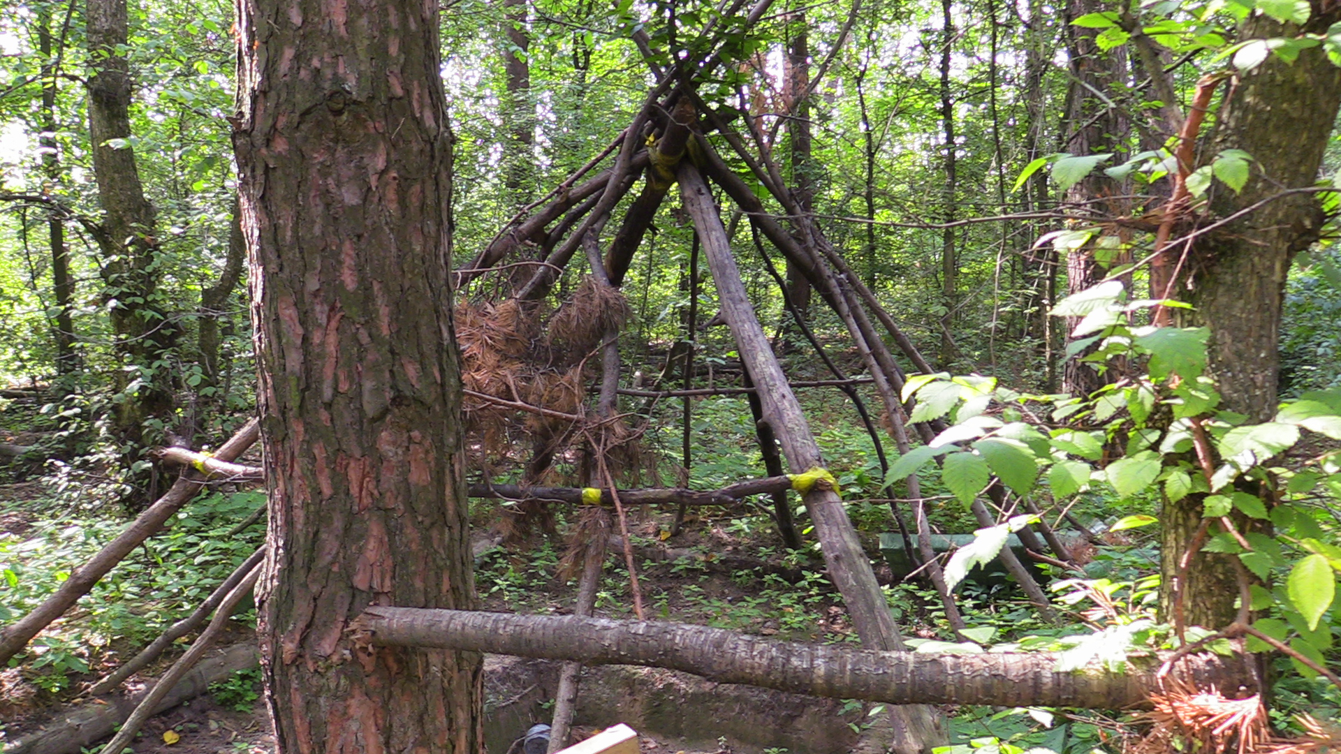 Remnants of a wooden hut built by Russian servicemen in a forest outside Bucha