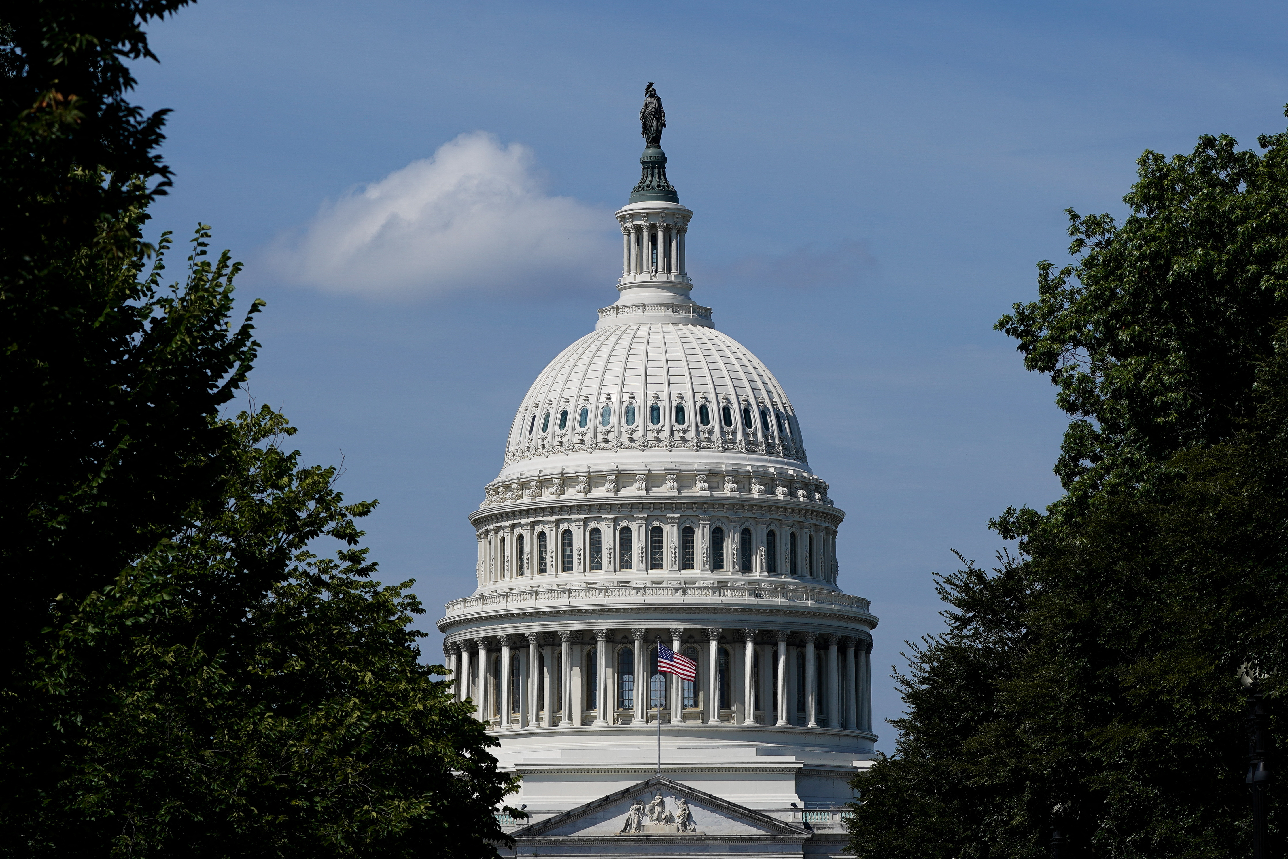 US Capitol in Washington, DC.