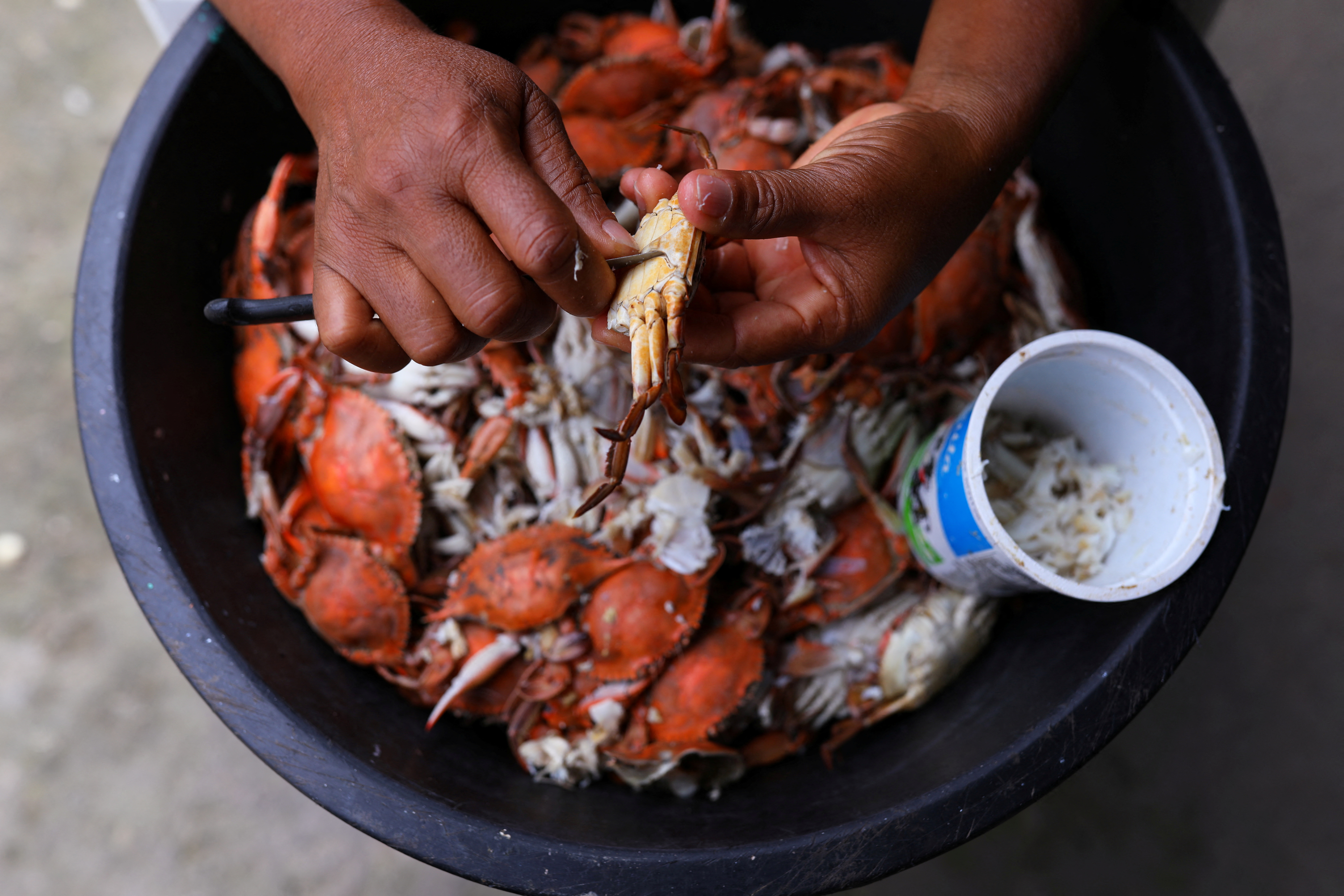 BRAZIL-ELECTION/RACE