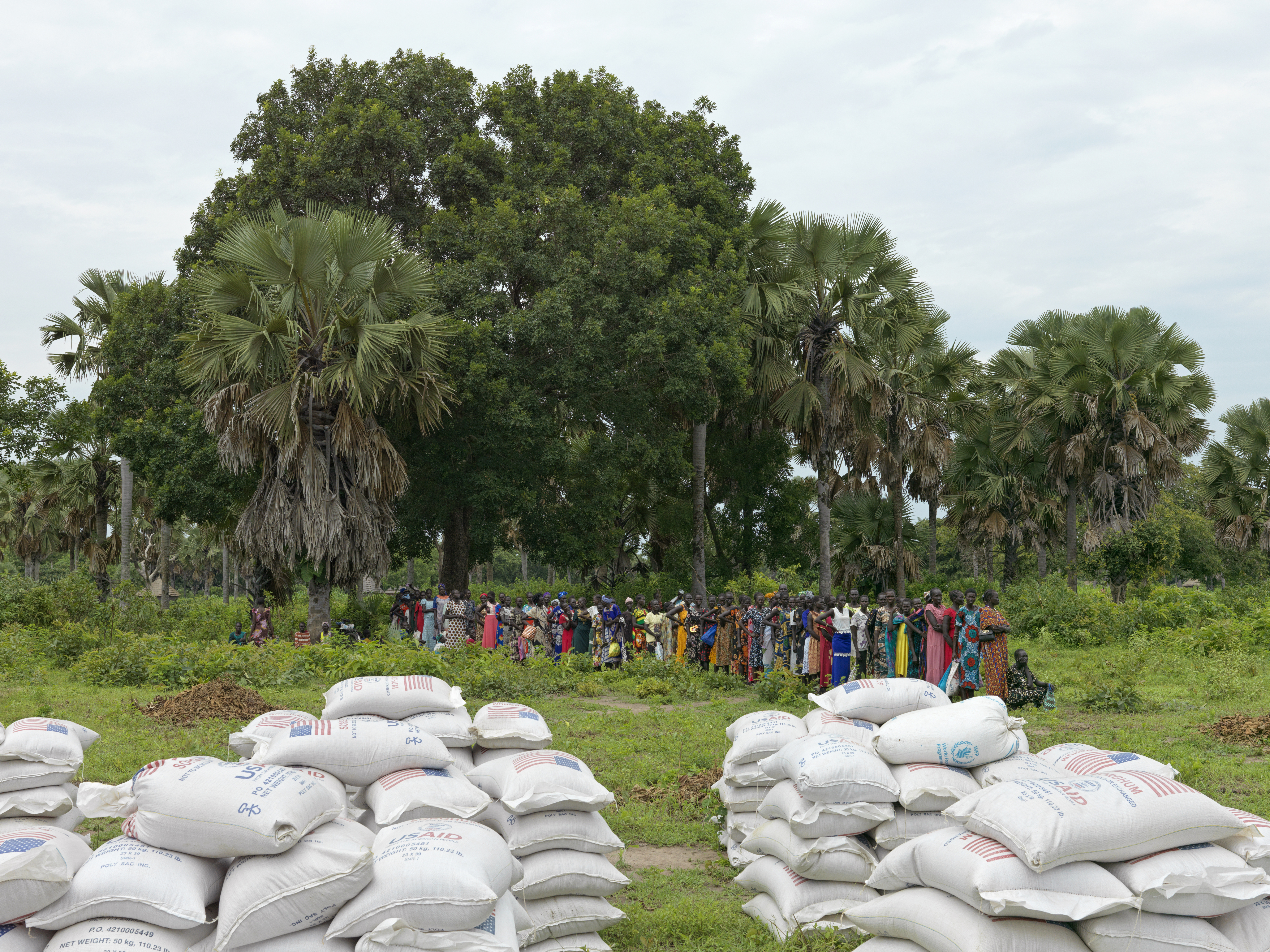 A photo of bags of food in a field with a large group of people in the background.
