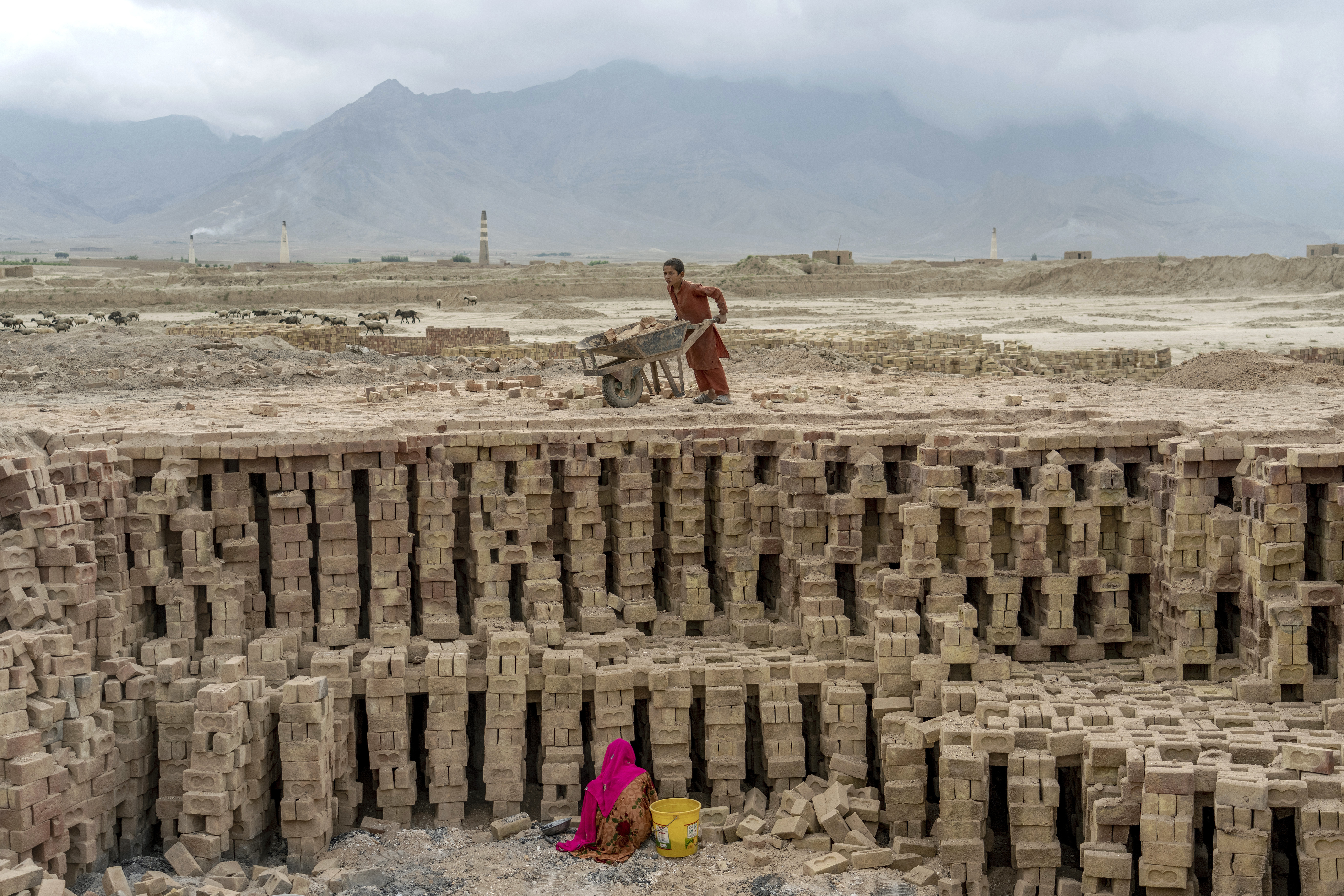 Afghanistan Child Labor