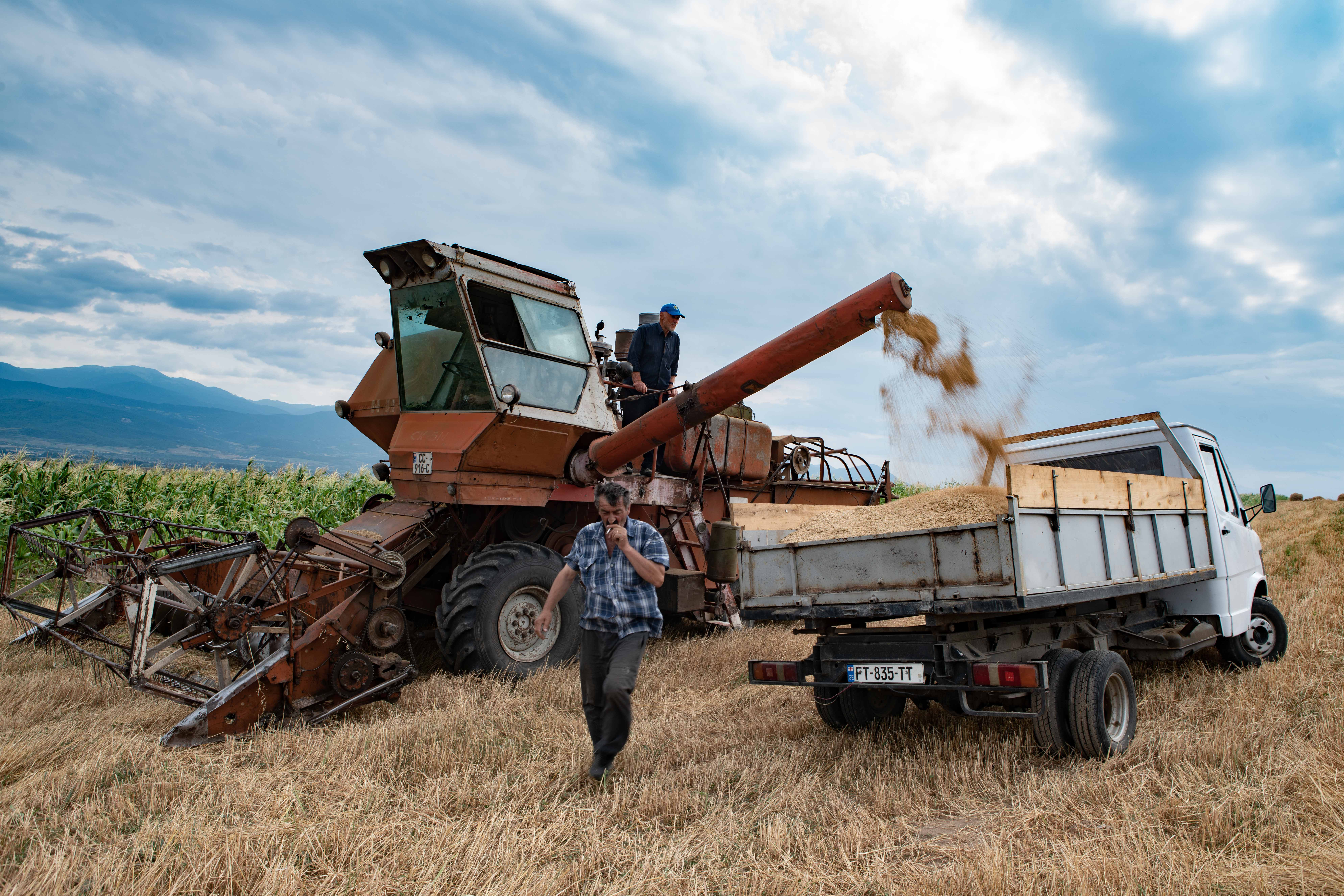 Georgia Farmers