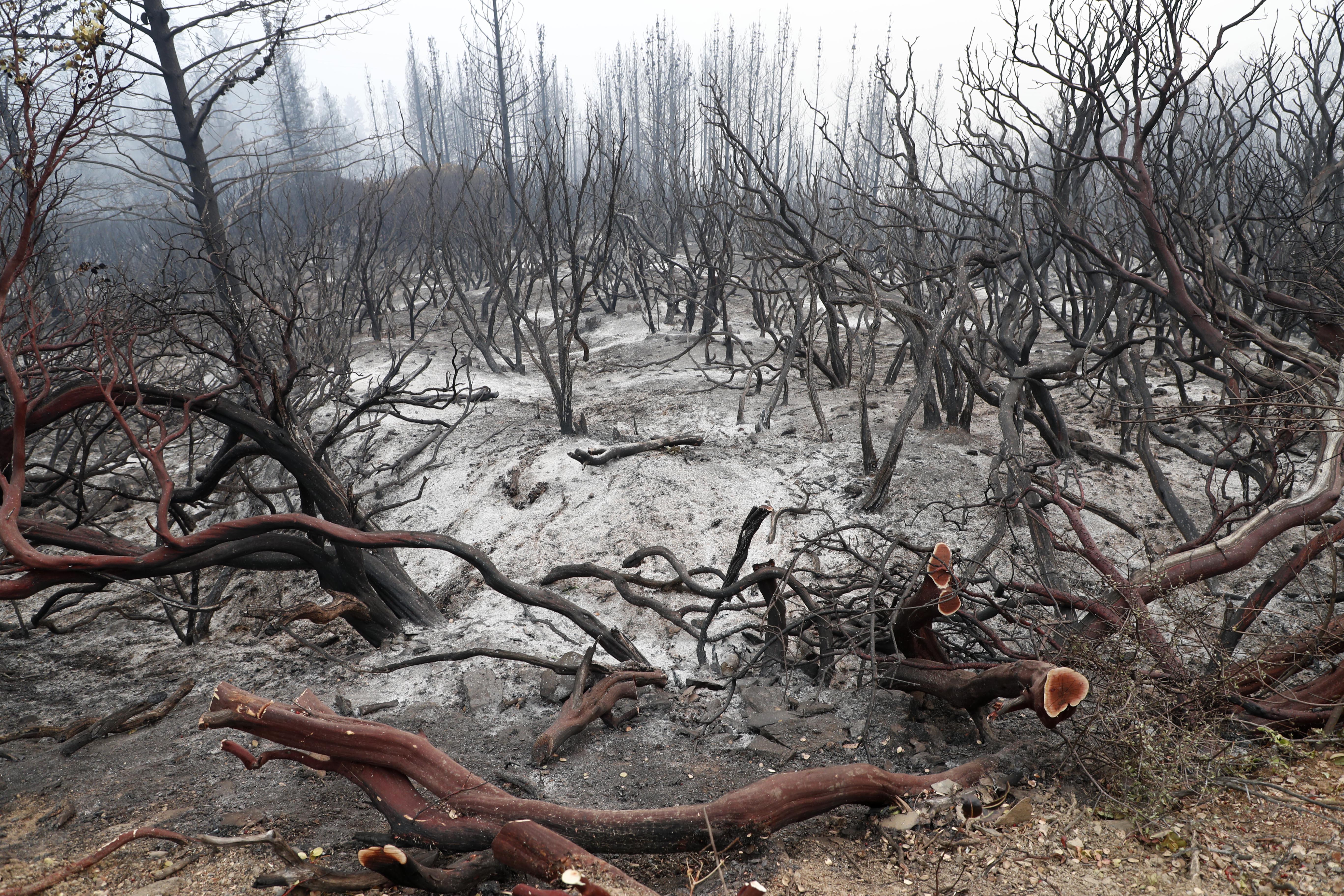USA NORTHERN CALIFORNIA MOSQUITO FIRE