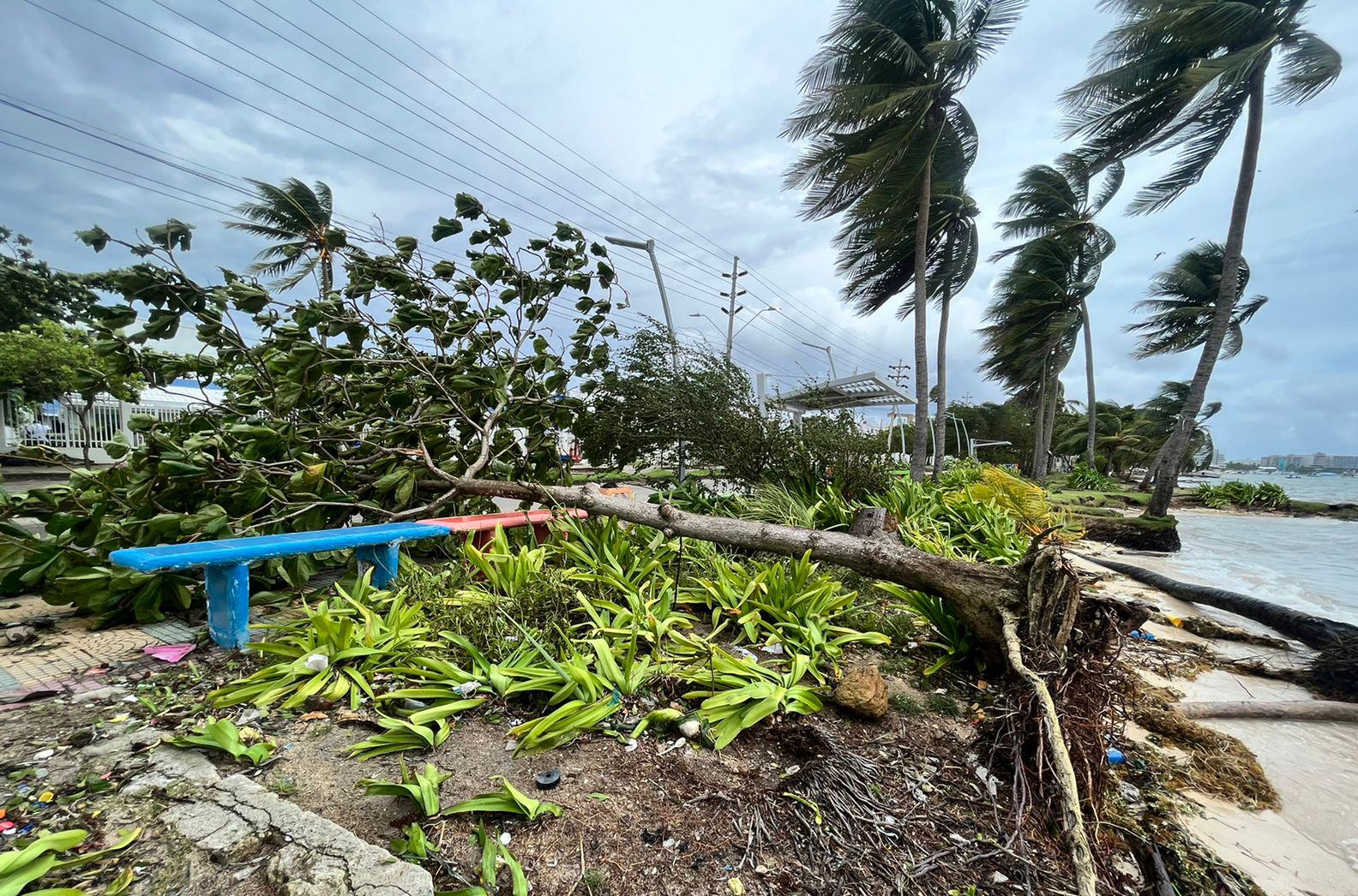 Tropical storm Julia