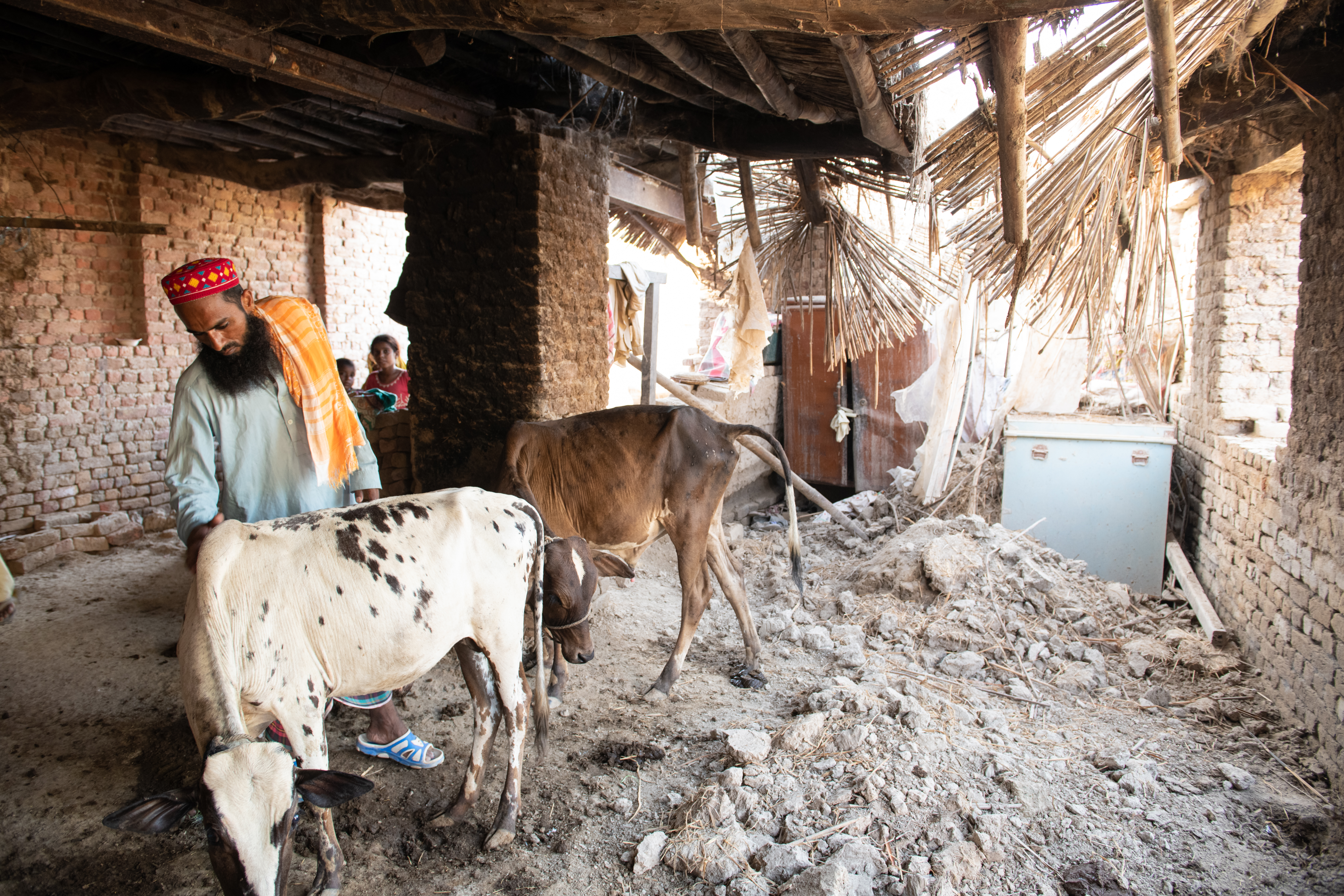 Owners of livestock are struggling to keep their animals safe after the destruction of animal shelters.