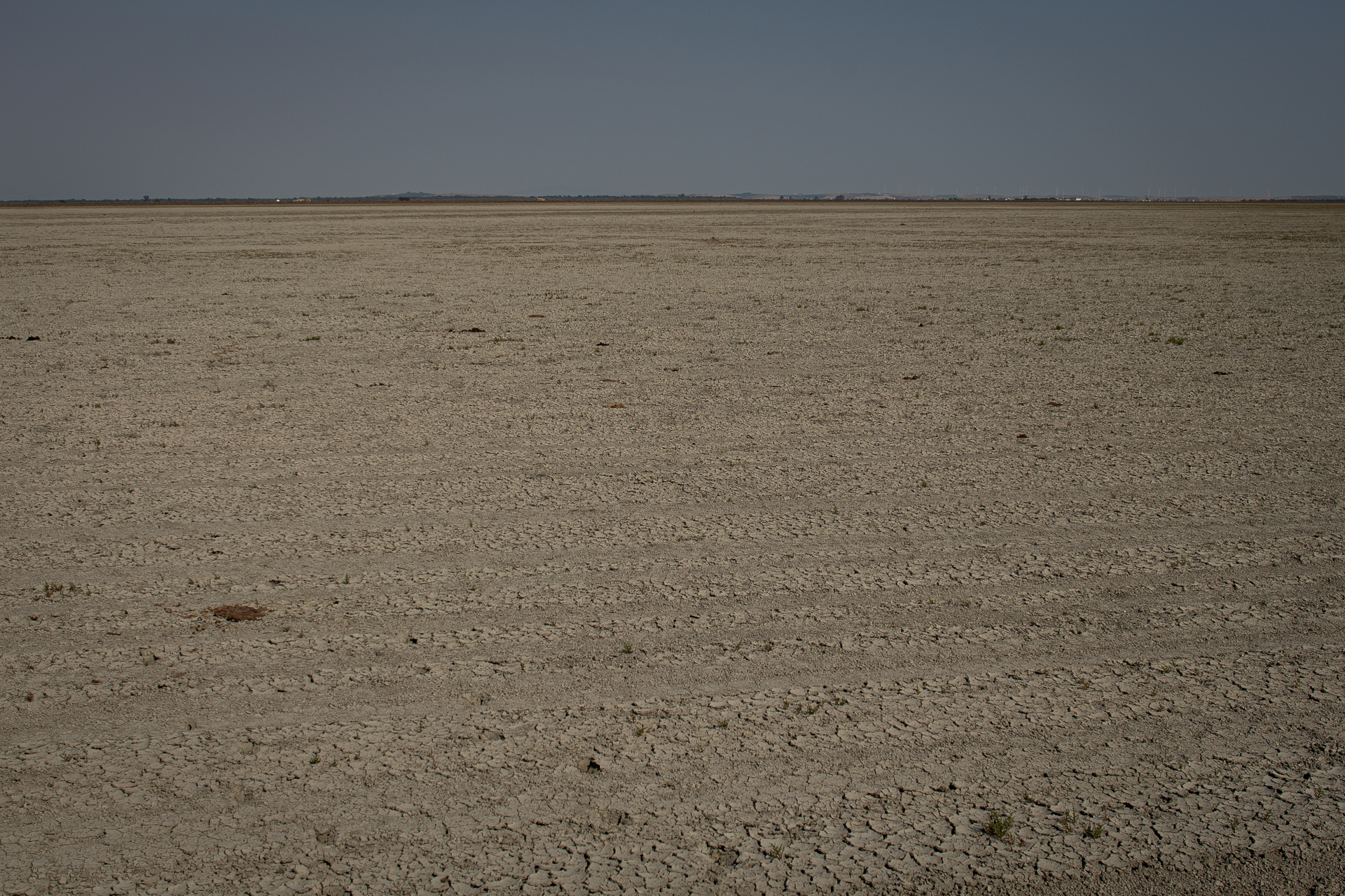 A dry wetland in Spain's Doñana National Park following a summer of record heatwaves and drought