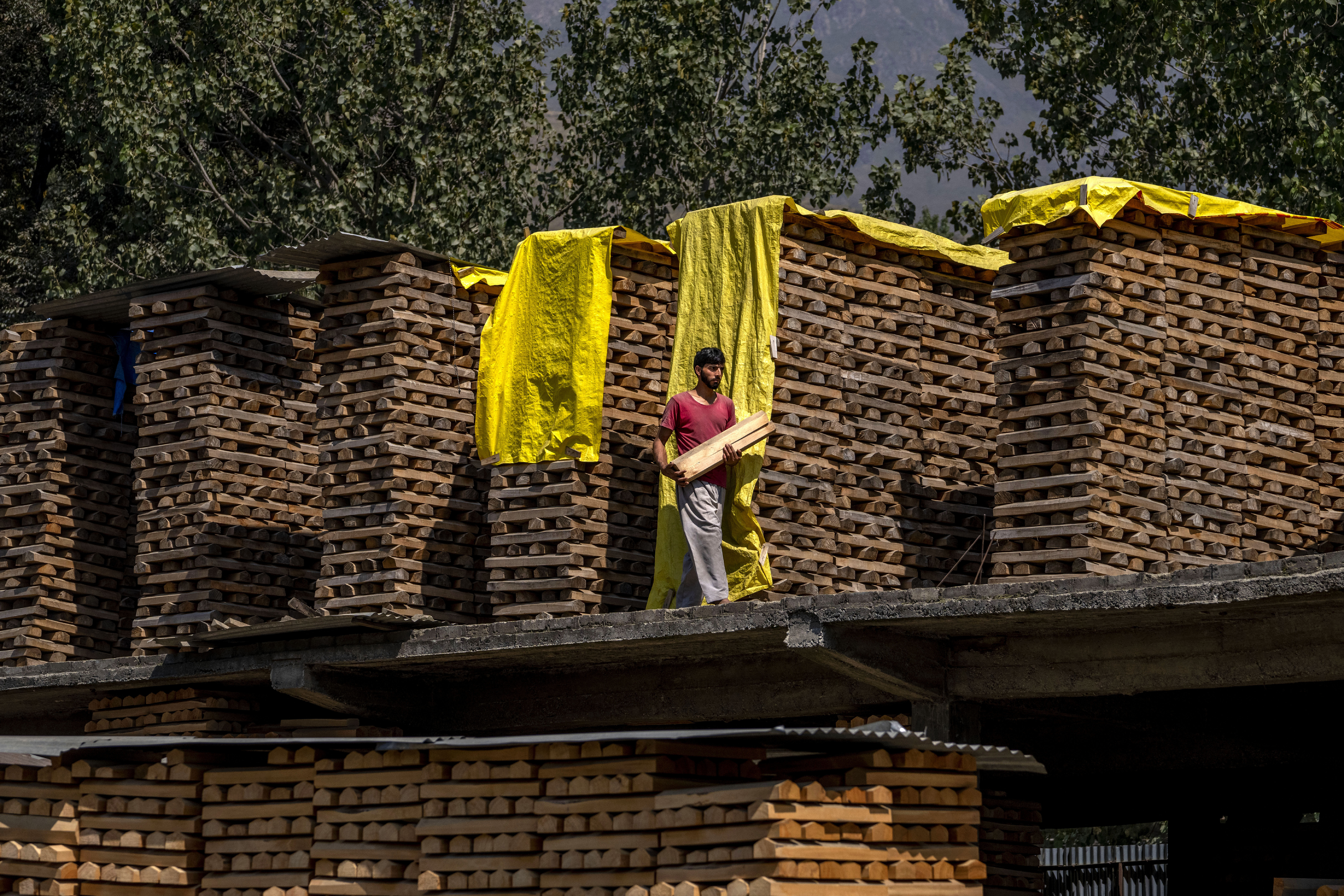Kashmir Cricket Bats