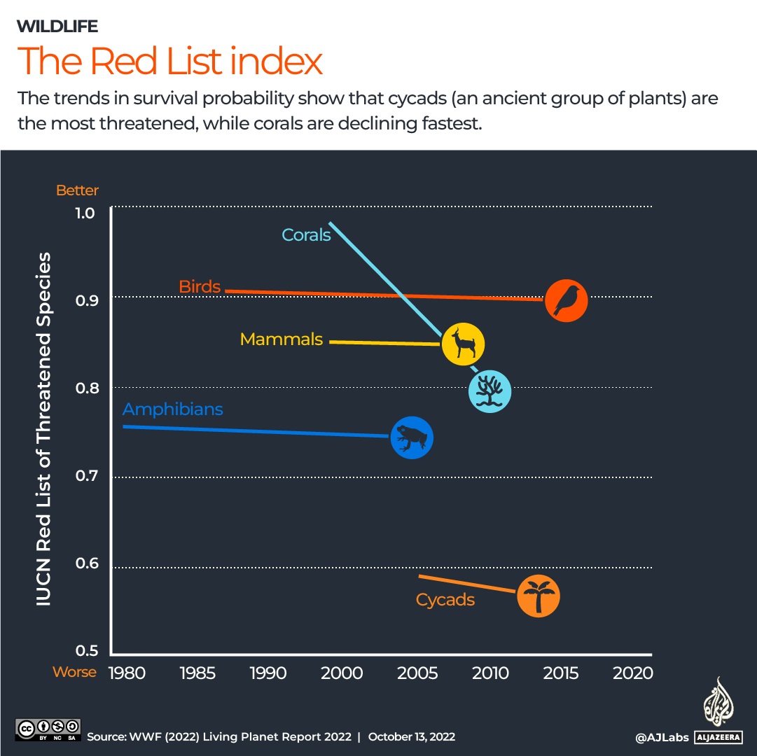 INTERACTIVE_WWF_RED_LIST_OCT13