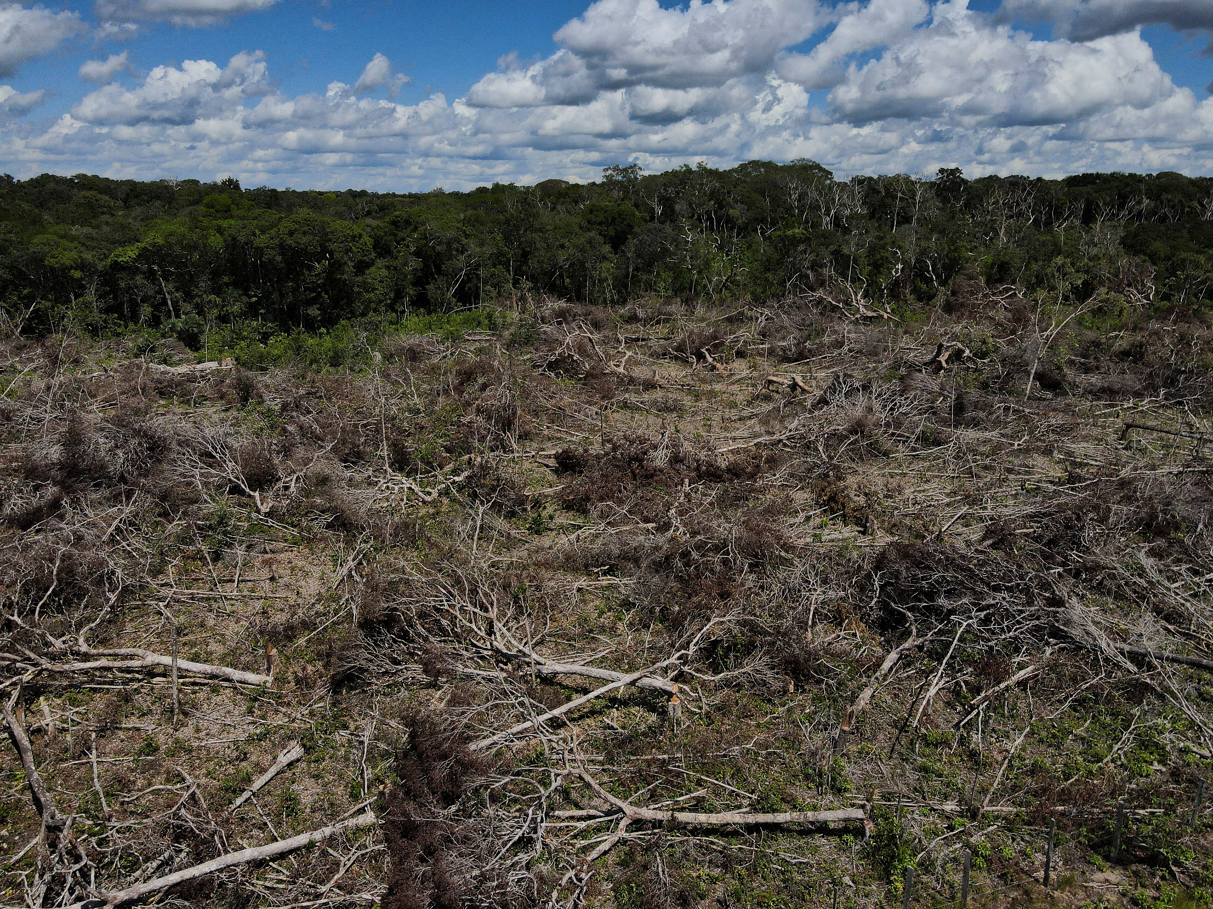 An aerial view shows a deforested plot in Brazil's Amazon region