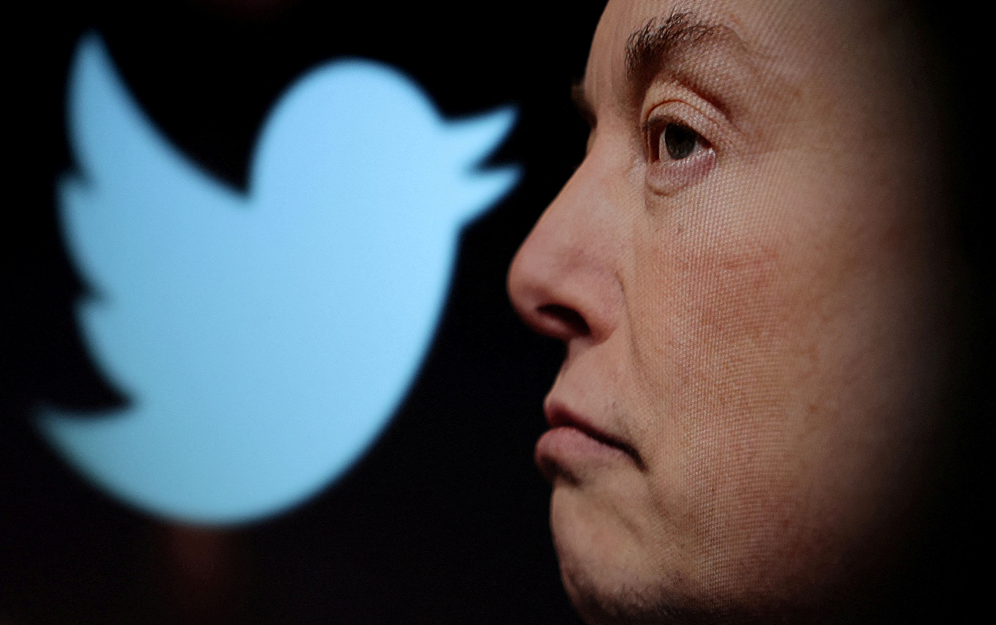 witter logo and a photo of Elon Musk are displayed through magnifier in this illustration