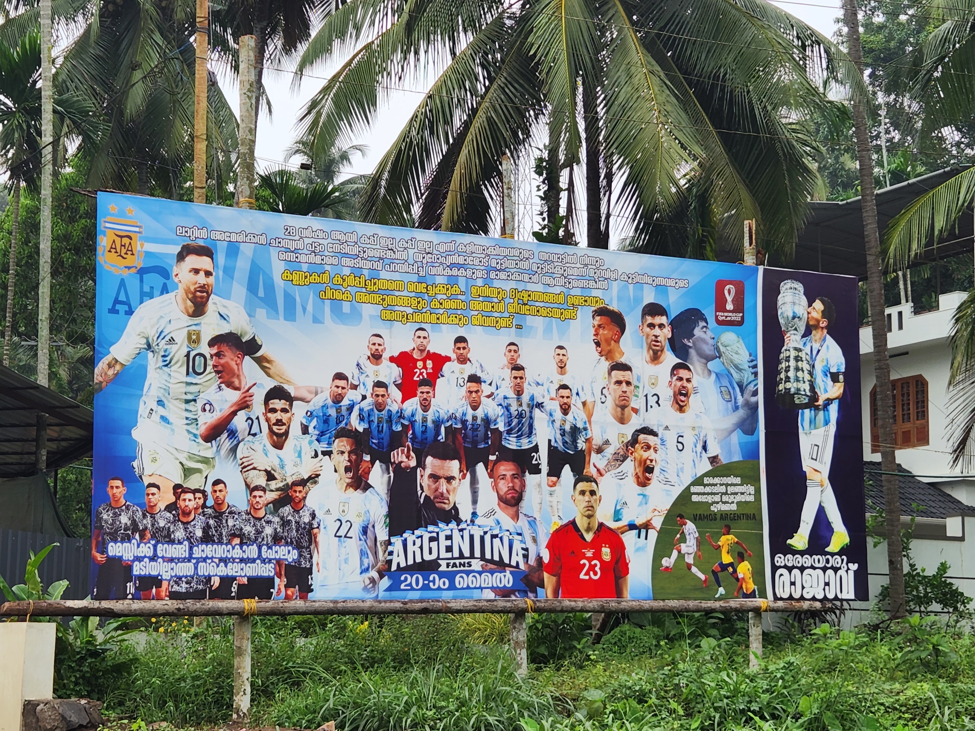 India celebrates World Cup