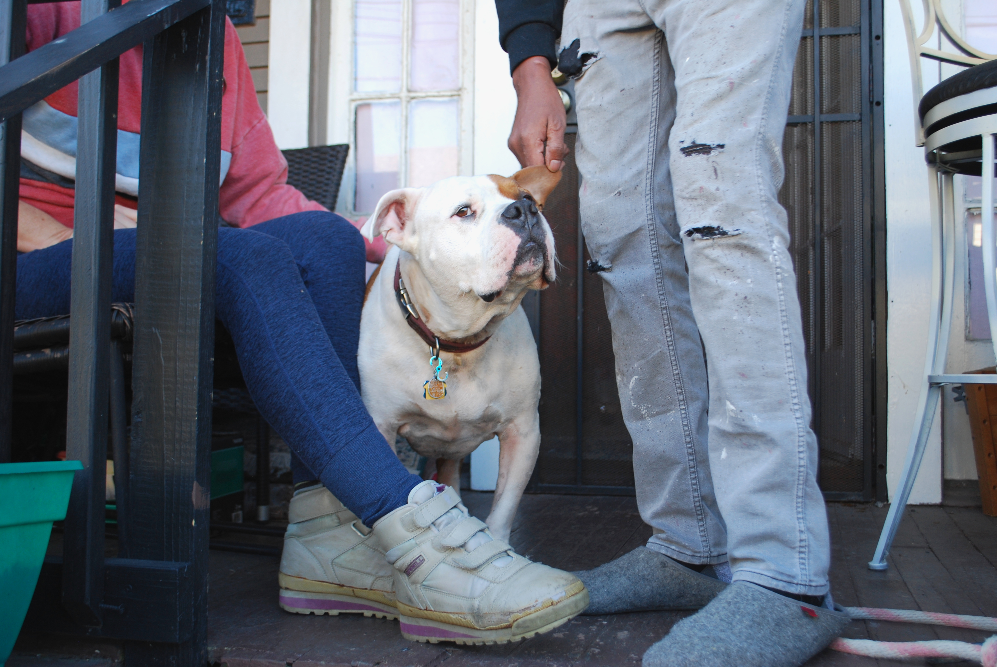 A photo of a dog between Amber and Aman.