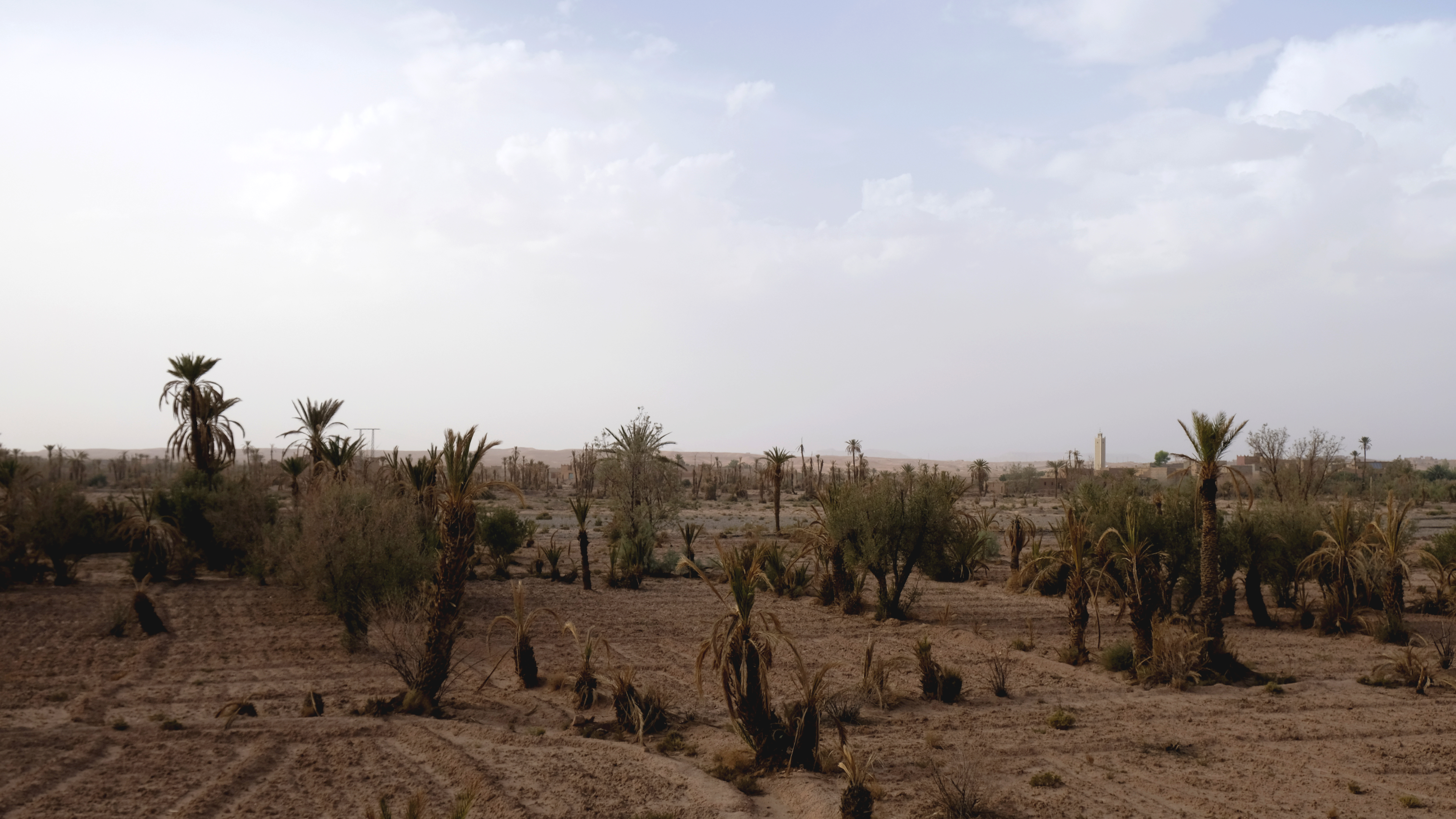 Moroccan farmers allege mismanagement of water resources, which have been diverted for expanding industries