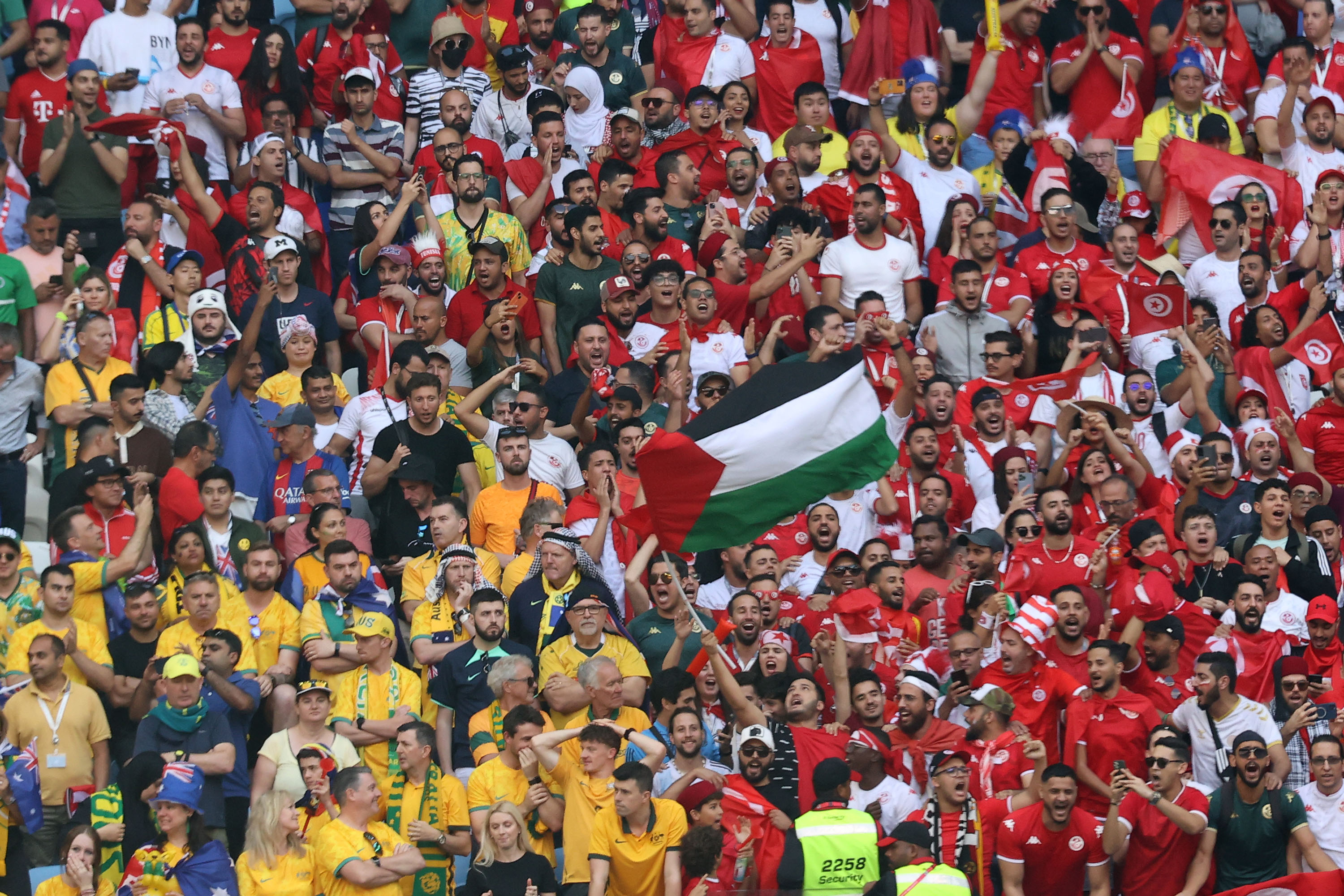 tunisia vs australia