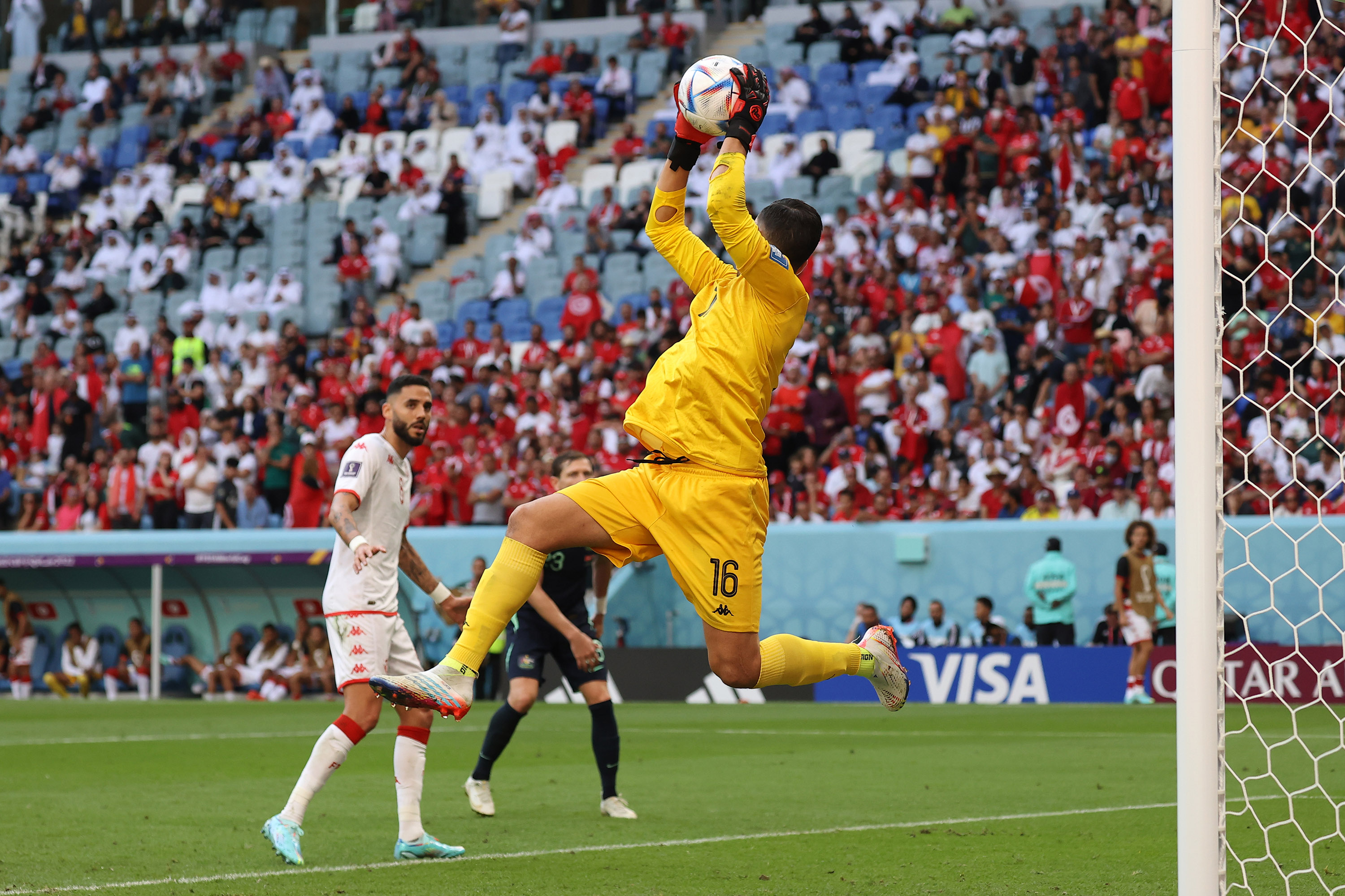tunisia vs australia