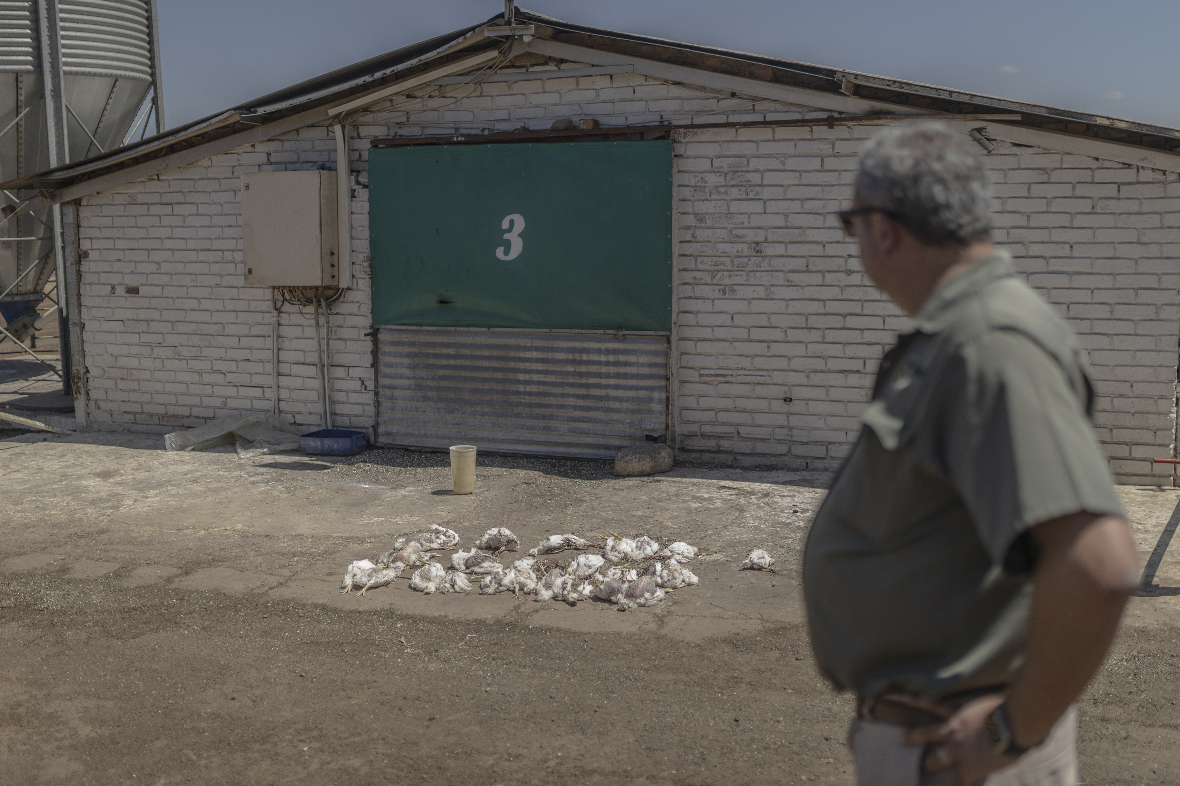 Record power cuts have caused shortages of some staples,