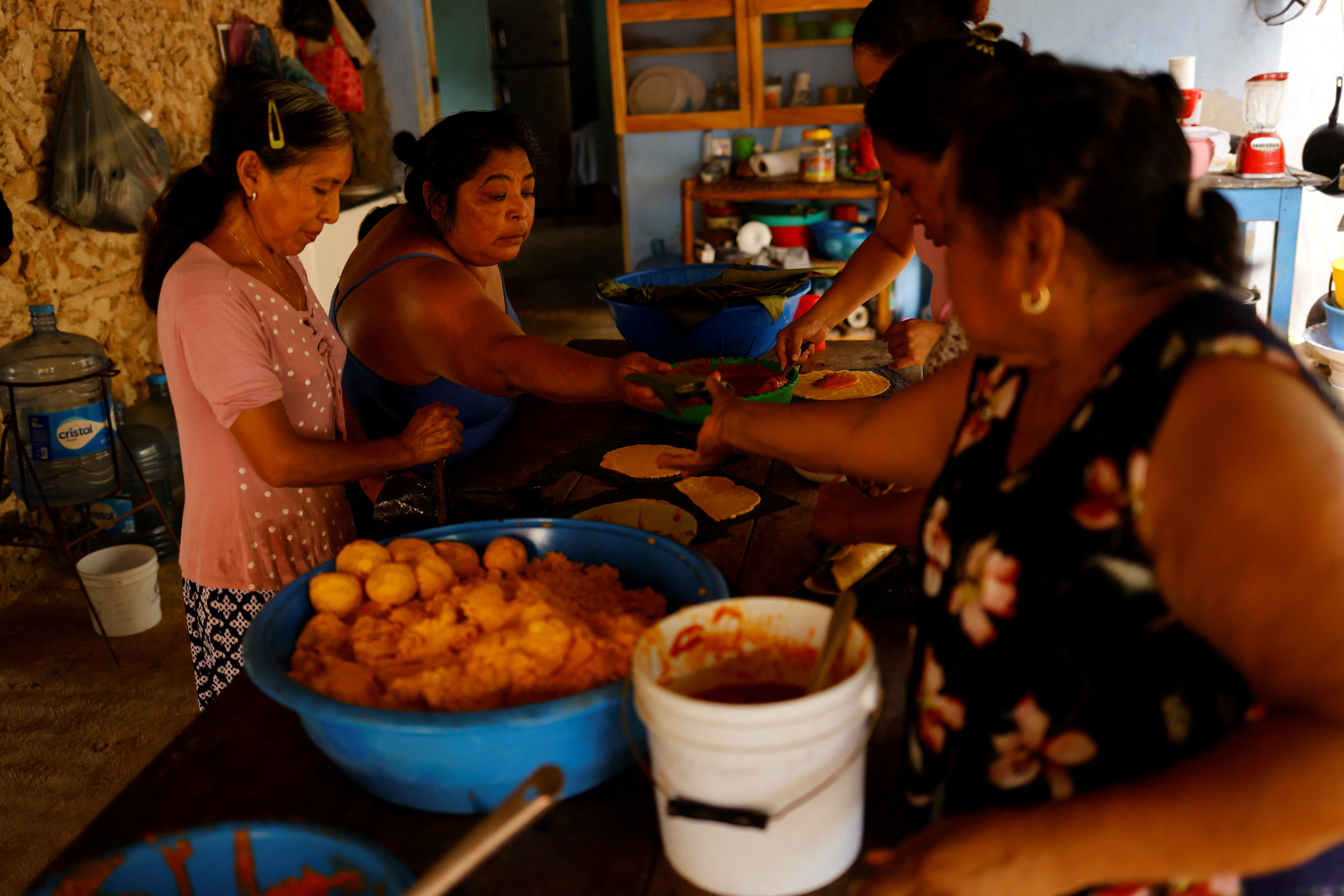 Mexican scientists sound alarm at Mayan Train