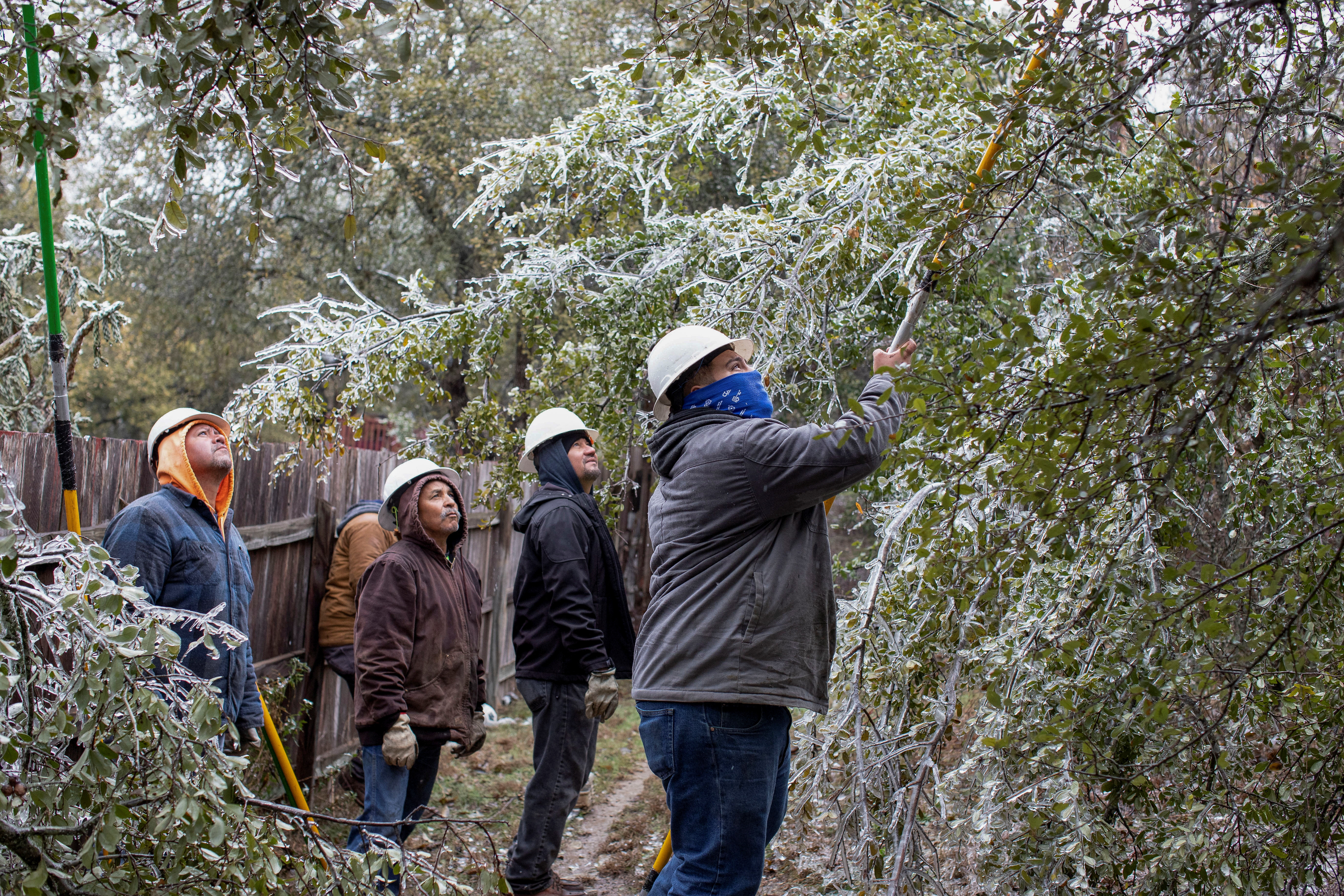 A woman in a hard hat cuts a frosty, fallen tree