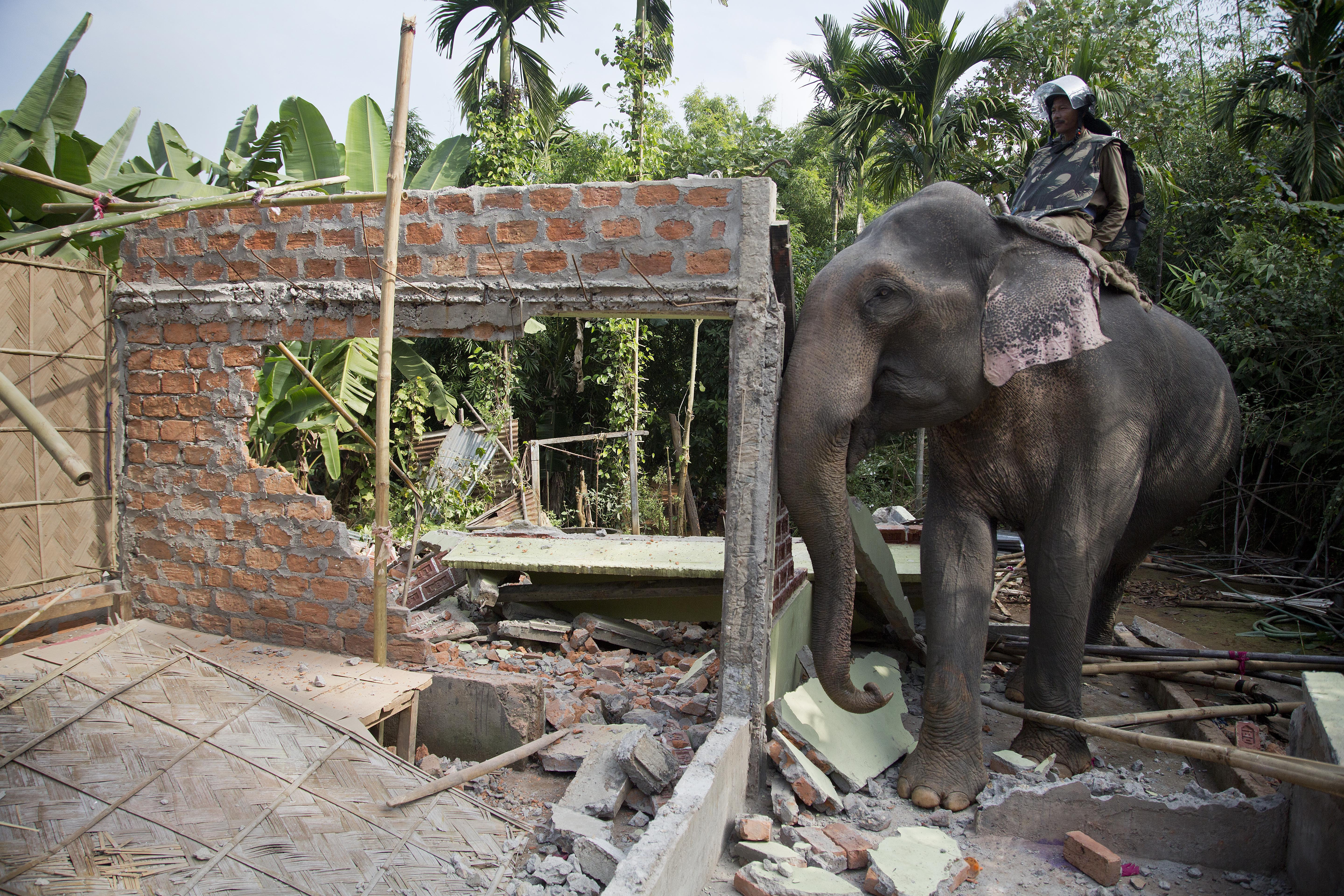 An elephant is used to demolish a house during an eviction drive inside Amchang Wildlife Sanctuary on the outskirts of Gauhati, Assam, India, Monday, Nov. 27, 2017. Indian police on Monday took the unusual step of using elephants in an attempt to evict hundreds of people living illegally in the protected forest area in the country's remote northeast. Police used bulldozers and the elephants in a show of force, and the forest dwellers responded by hurling rocks. (AP Photo/Anupam Nath)