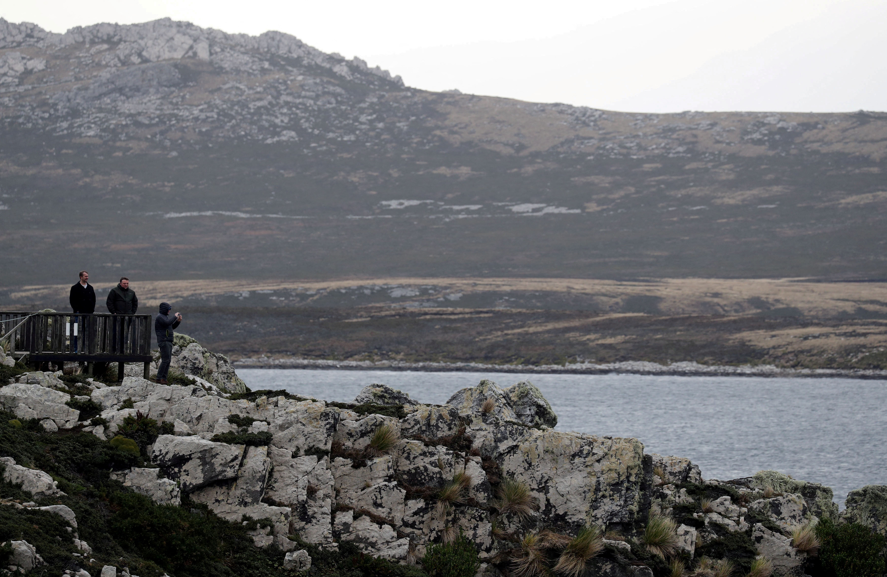 A view of visitors to Gypsy Cove, near Port Stanley, in the Falkland Islands