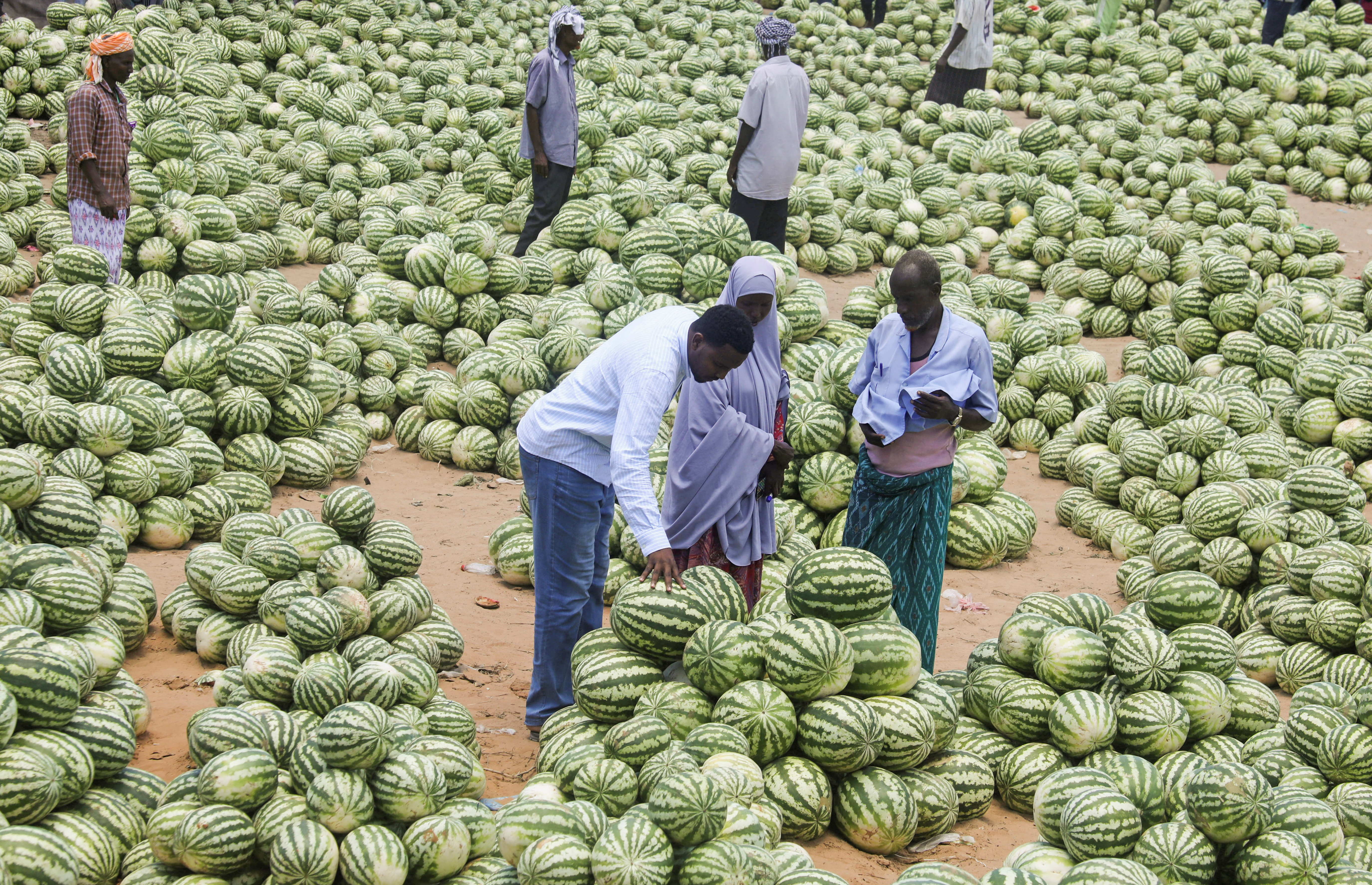 Somali vendors arrange watermelons for sale at an open air grocery market as Muslims prepare for the fasting month of Ramadan, the holiest month in the Islamic calendar, in Hamarweyne district of Mogadishu, Somalia