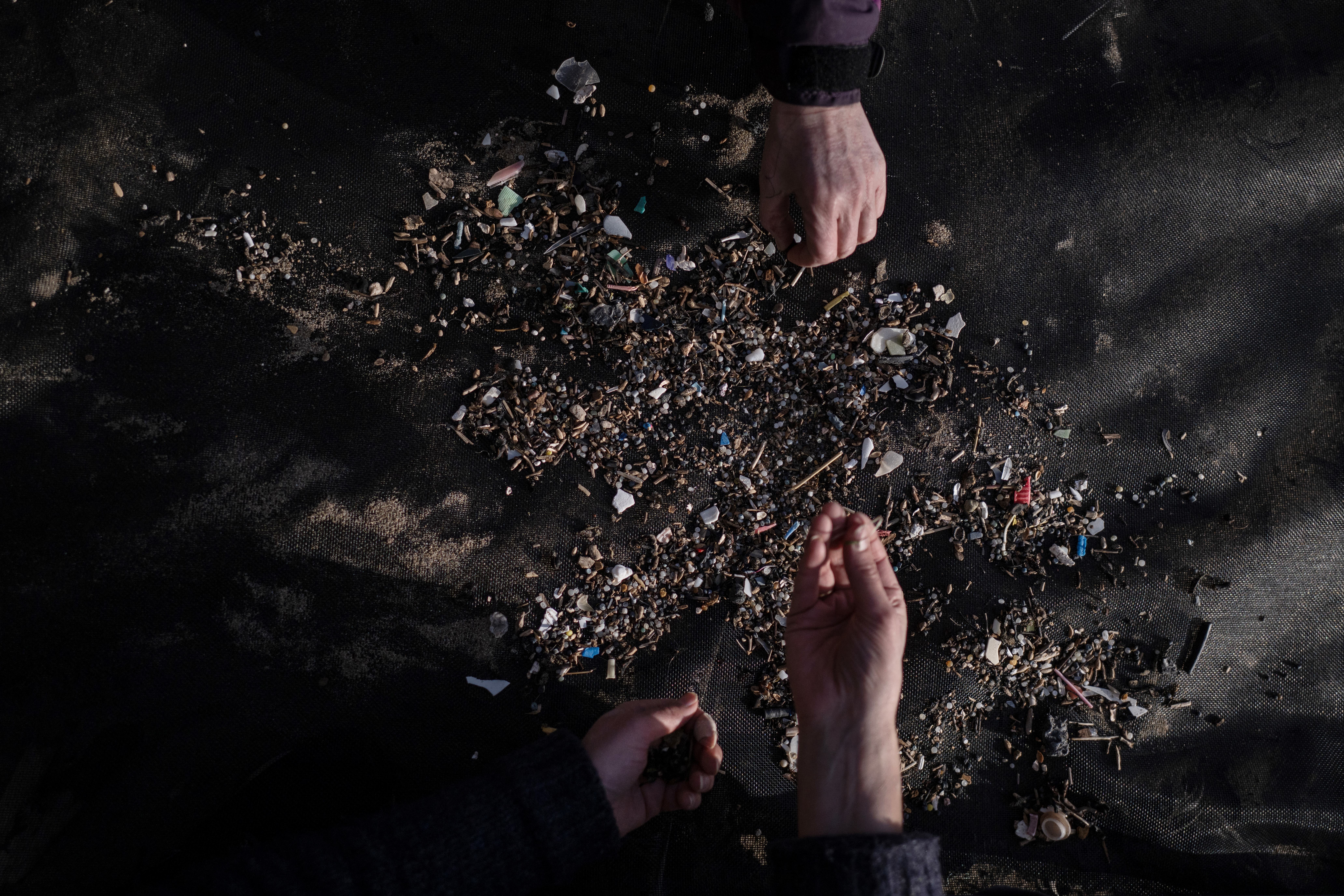 A volunteer shows nurdles collected during a beach clean