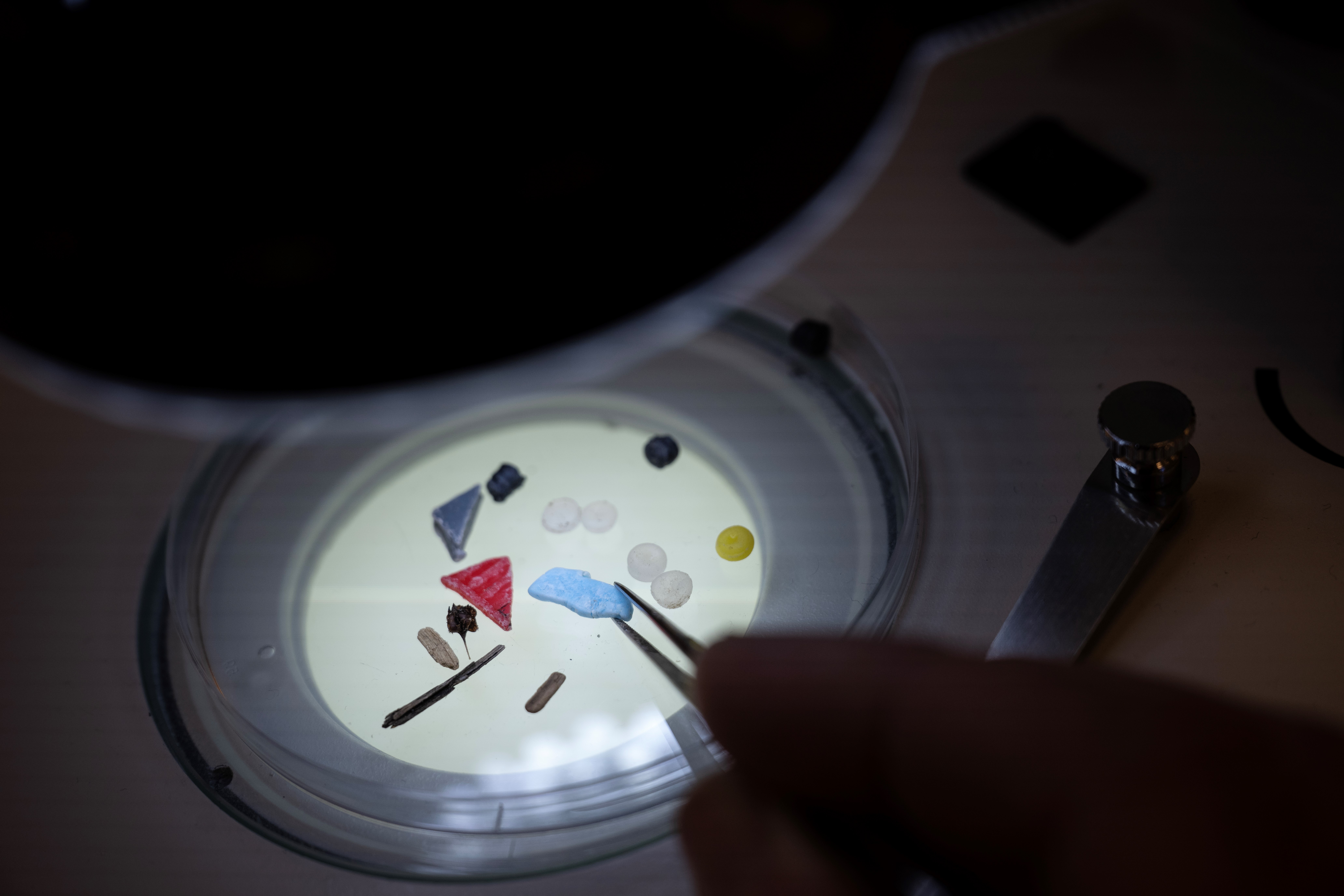 Director of the Marine Institute of Plymouth Professor Richard Thompson analyses nurdles and other micro-plastics